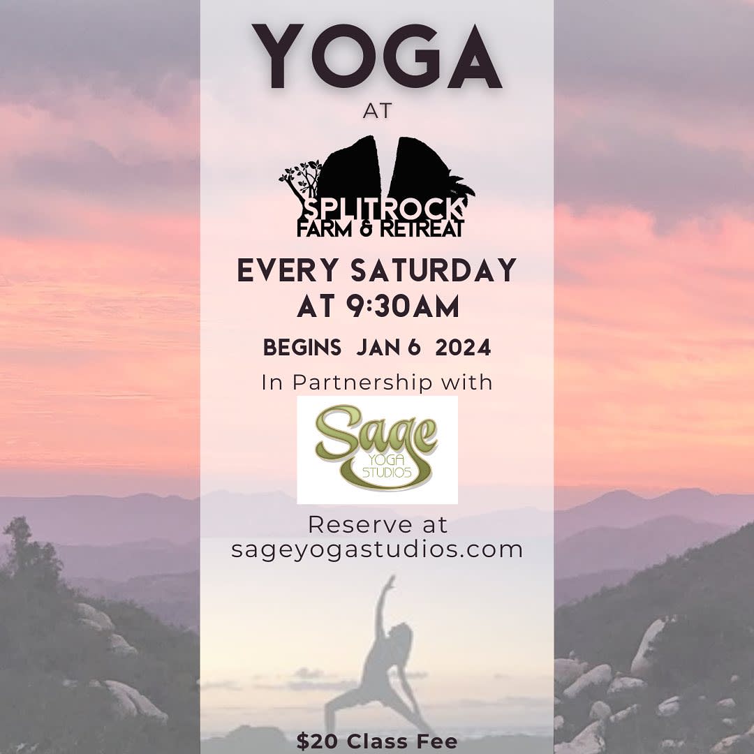 Saturday Morning Yoga Fallbrook Chamber of Commerce