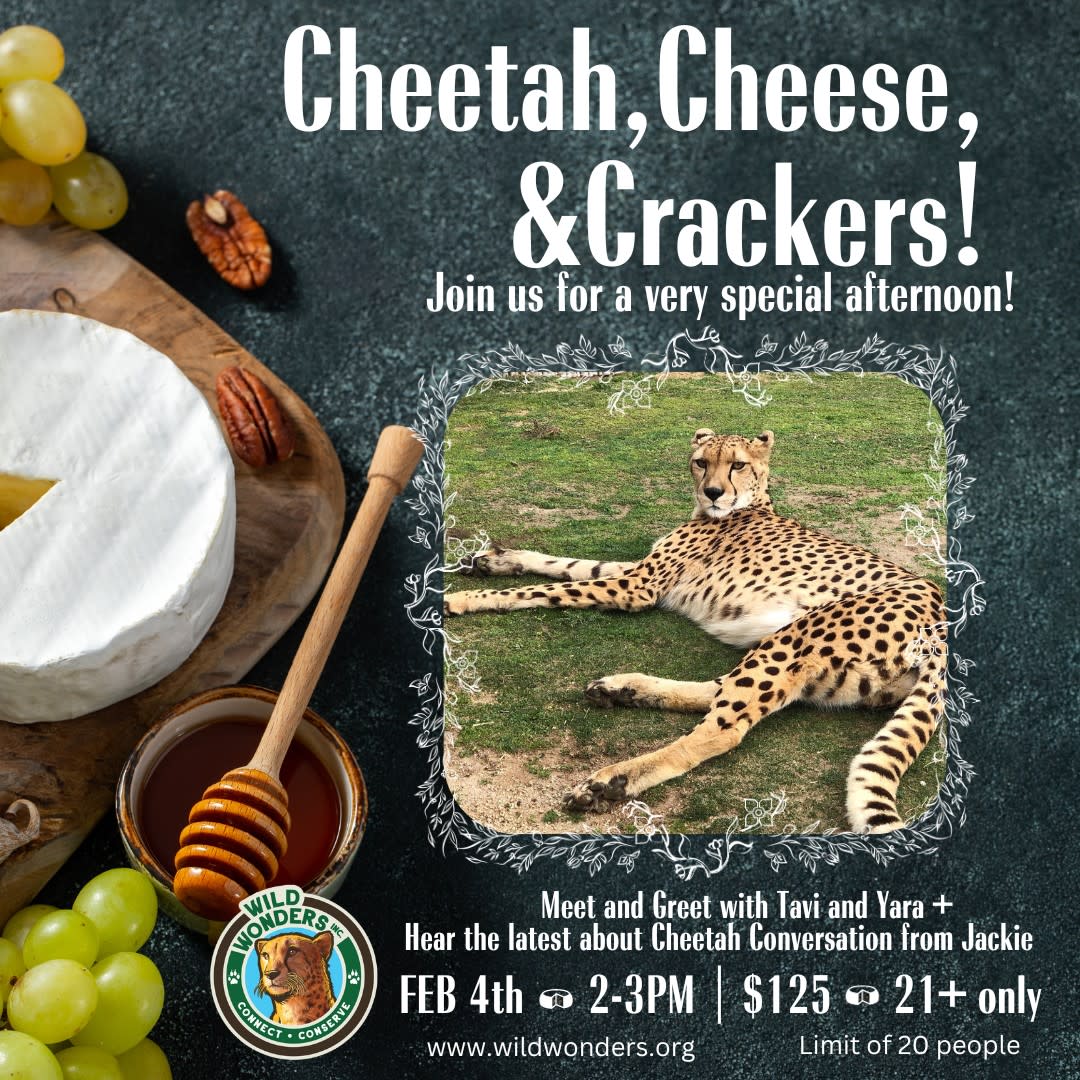 Cheetah, Cheese and Crackers! - Fallbrook Chamber of Commerce
