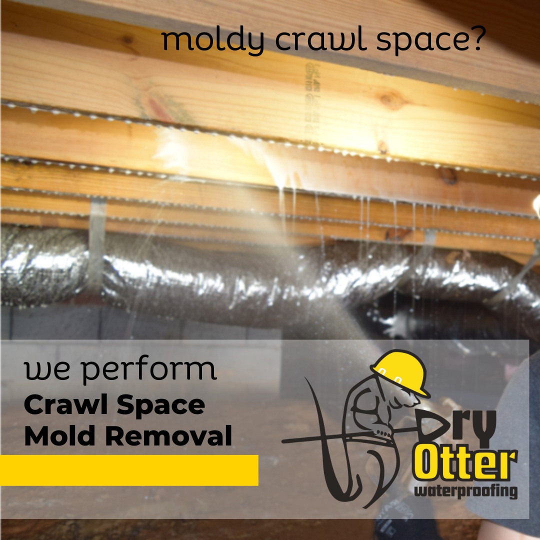 spraying antimicrobial mold cleaner on crawl space floor joists