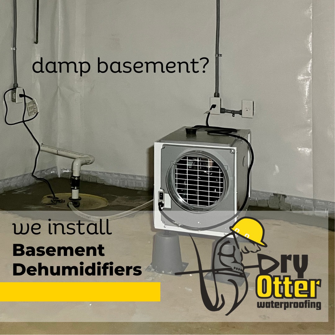 basement sump pump and dehumidifier