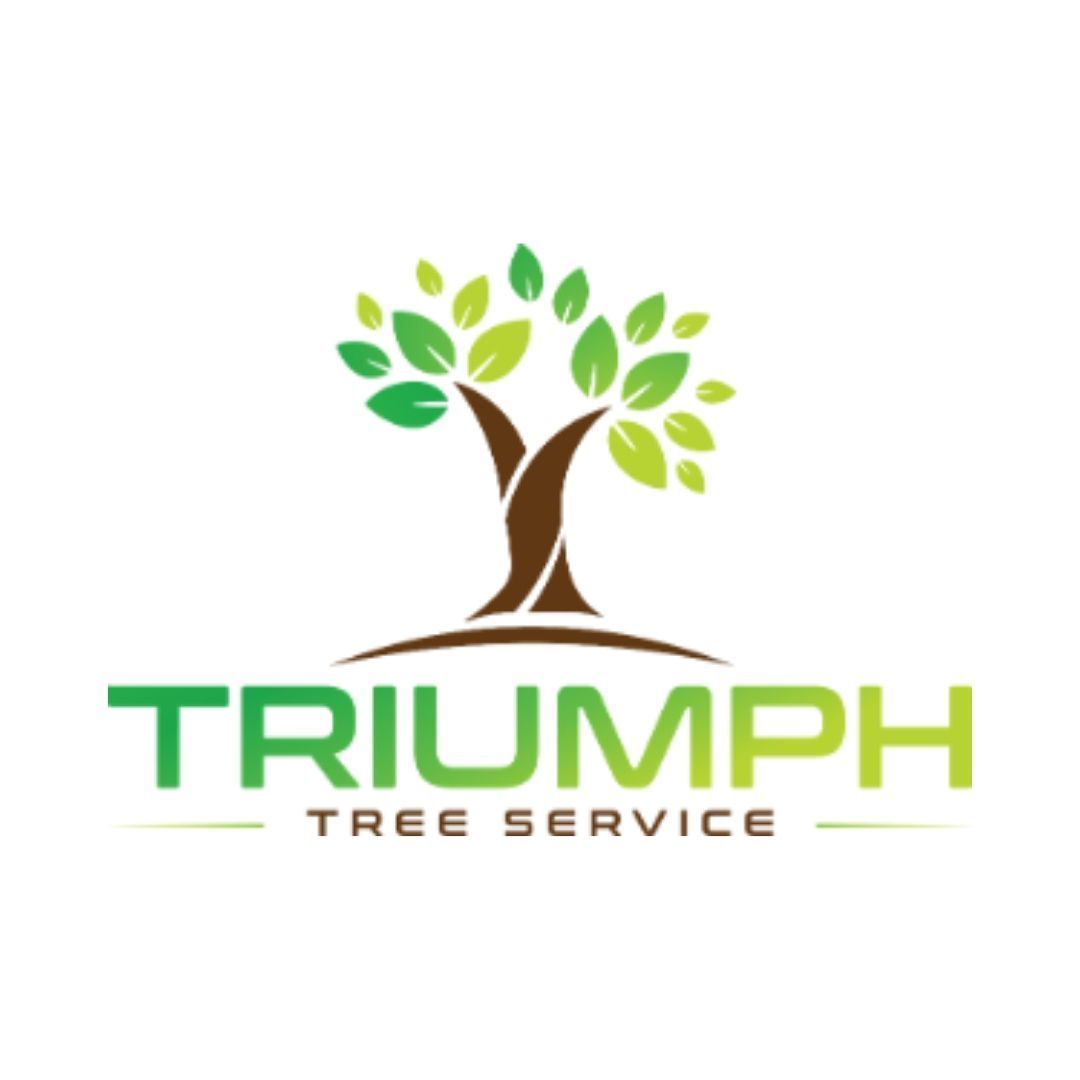 Triumph Tree Service Cincinnati Gz463 Ambassadors For Business