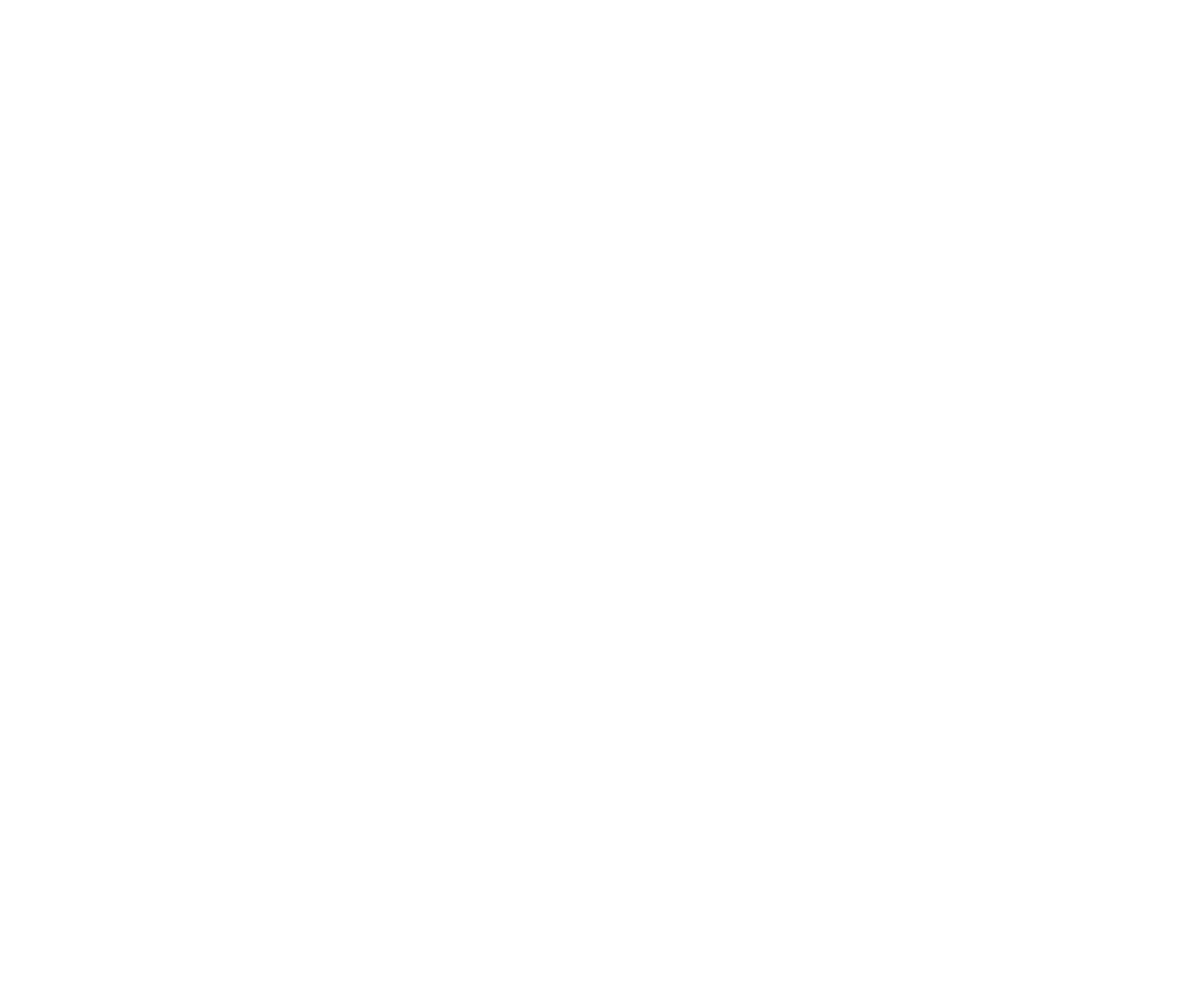 The Crocodile