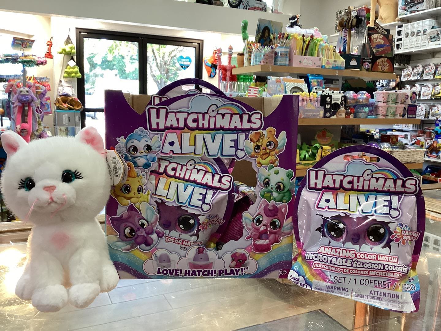 Imagination Station Educational Toy Depot