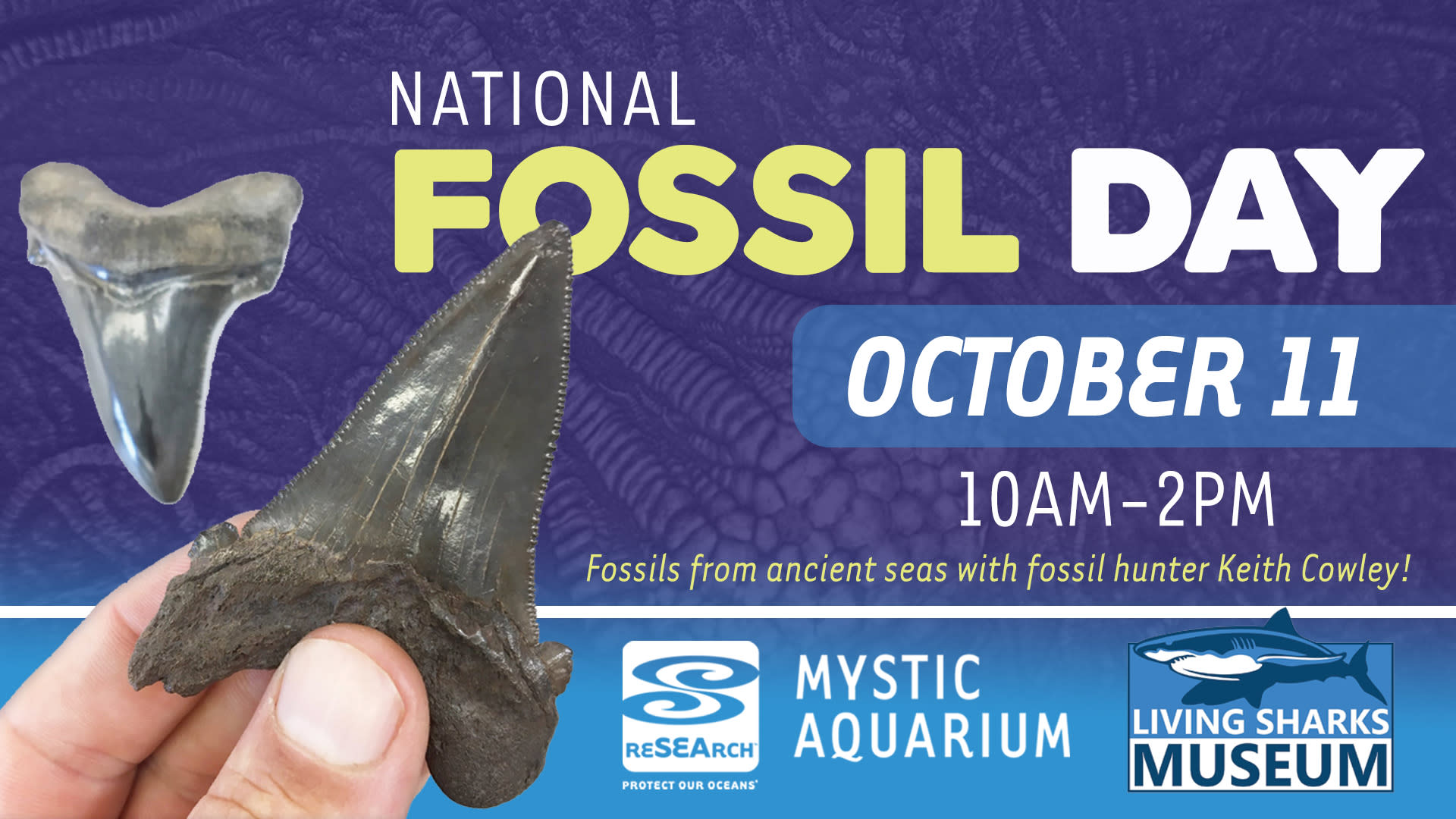 National Fossil Day with Fossil Hunter Keith Cowley at Mystic Aquarium