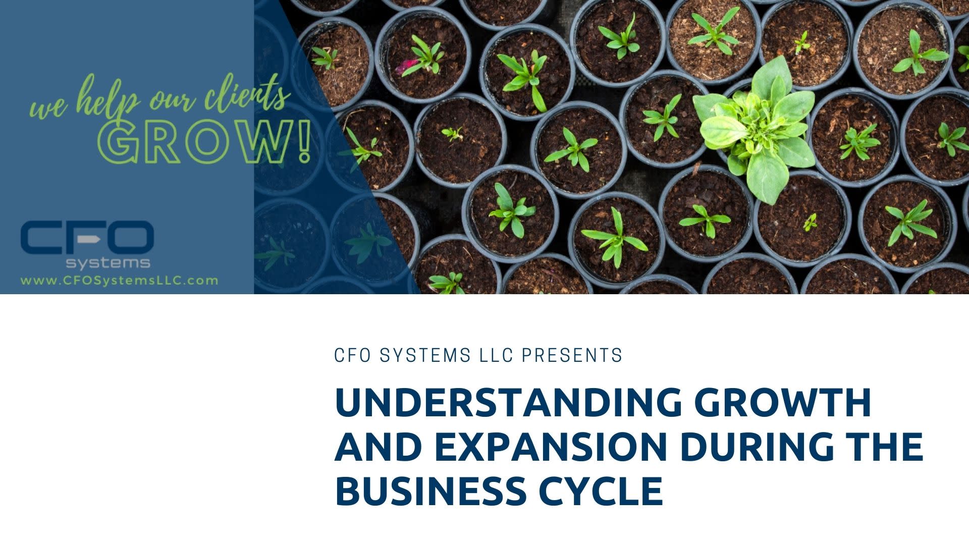 Understanding Growth and Expansion During The Business Life Cycle