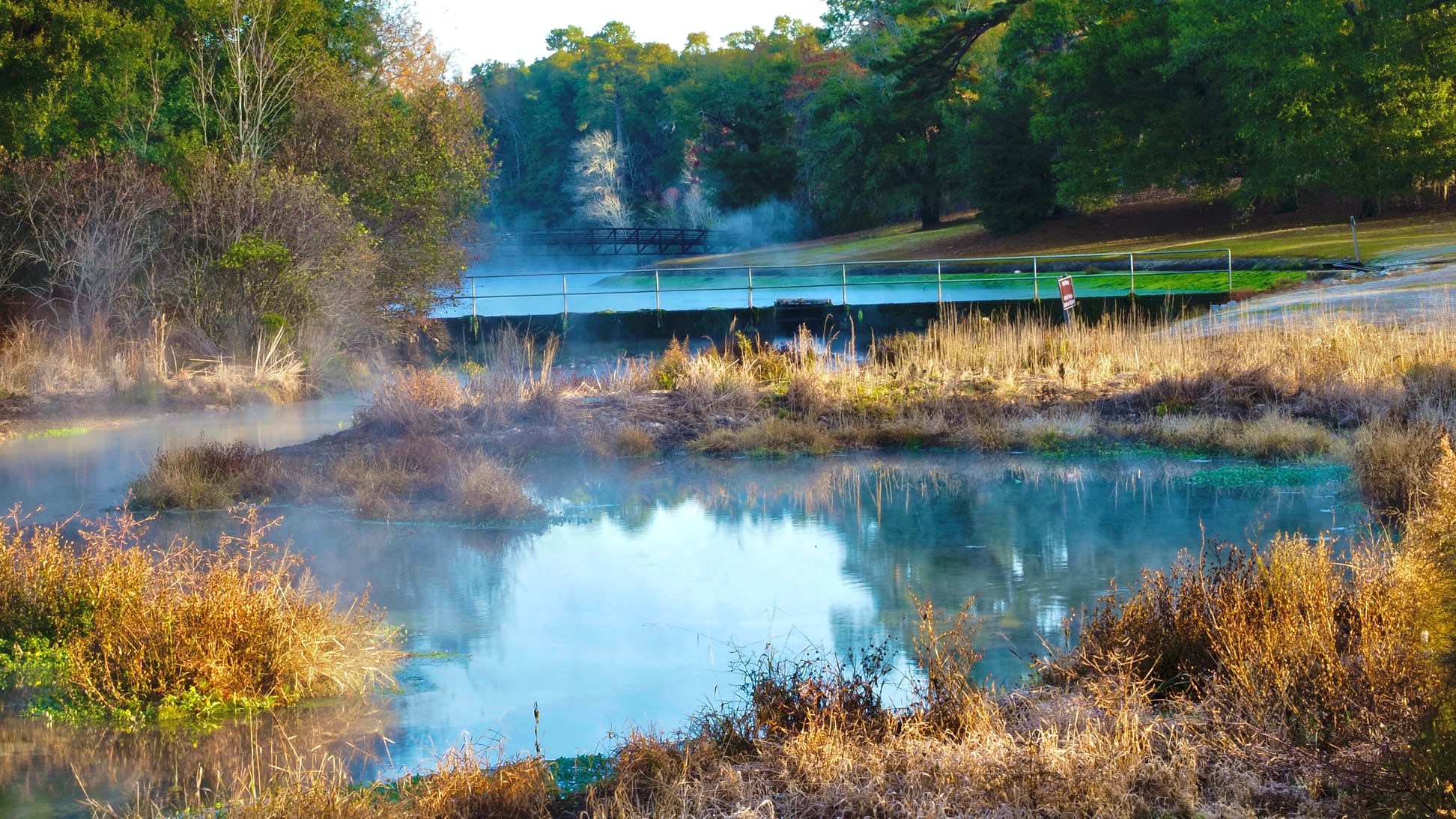 Magnolia Spring State Park