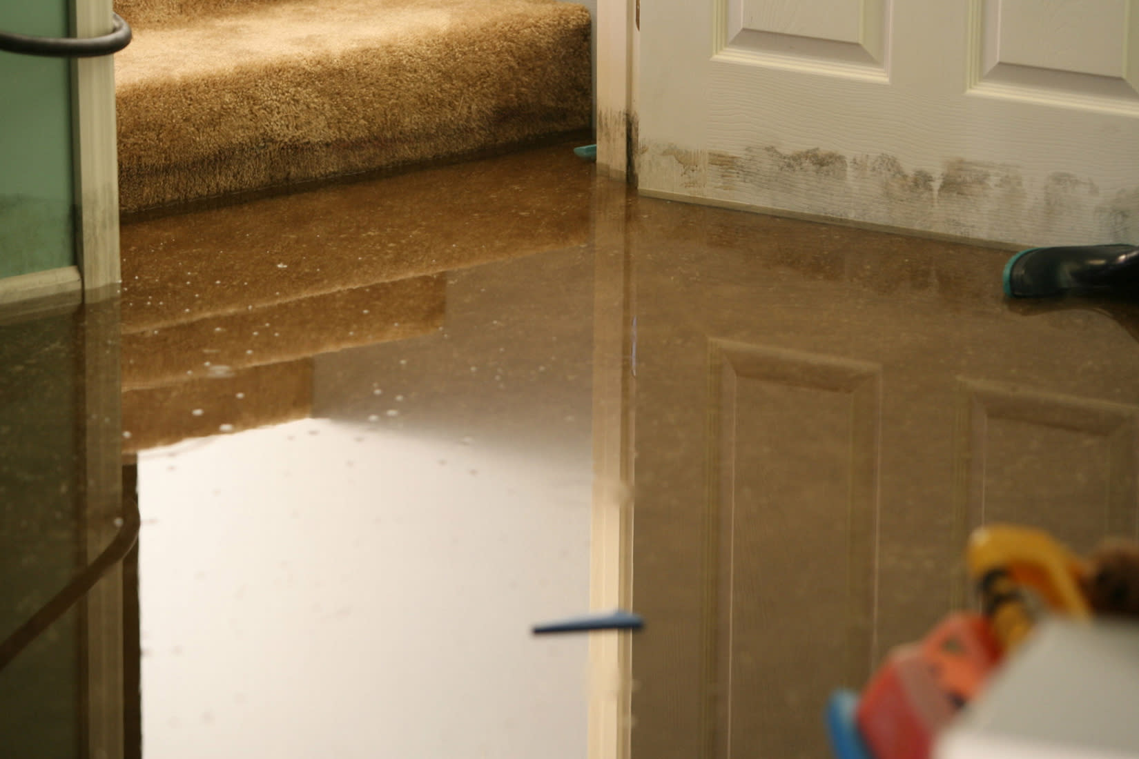 Flooded room with mold growth starting