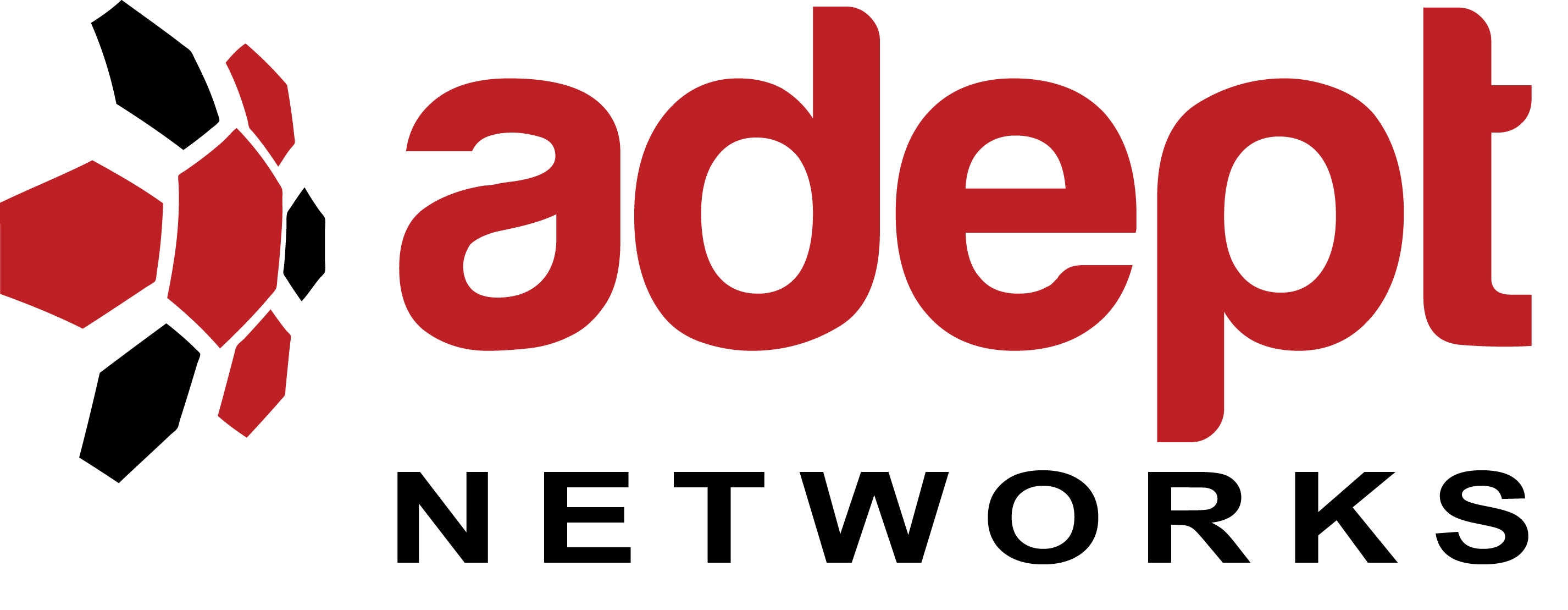 Adept Networks