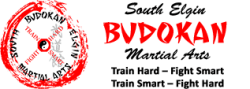 Budokan Martial Arts LOGO