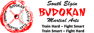 Budokan Martial Arts LOGO