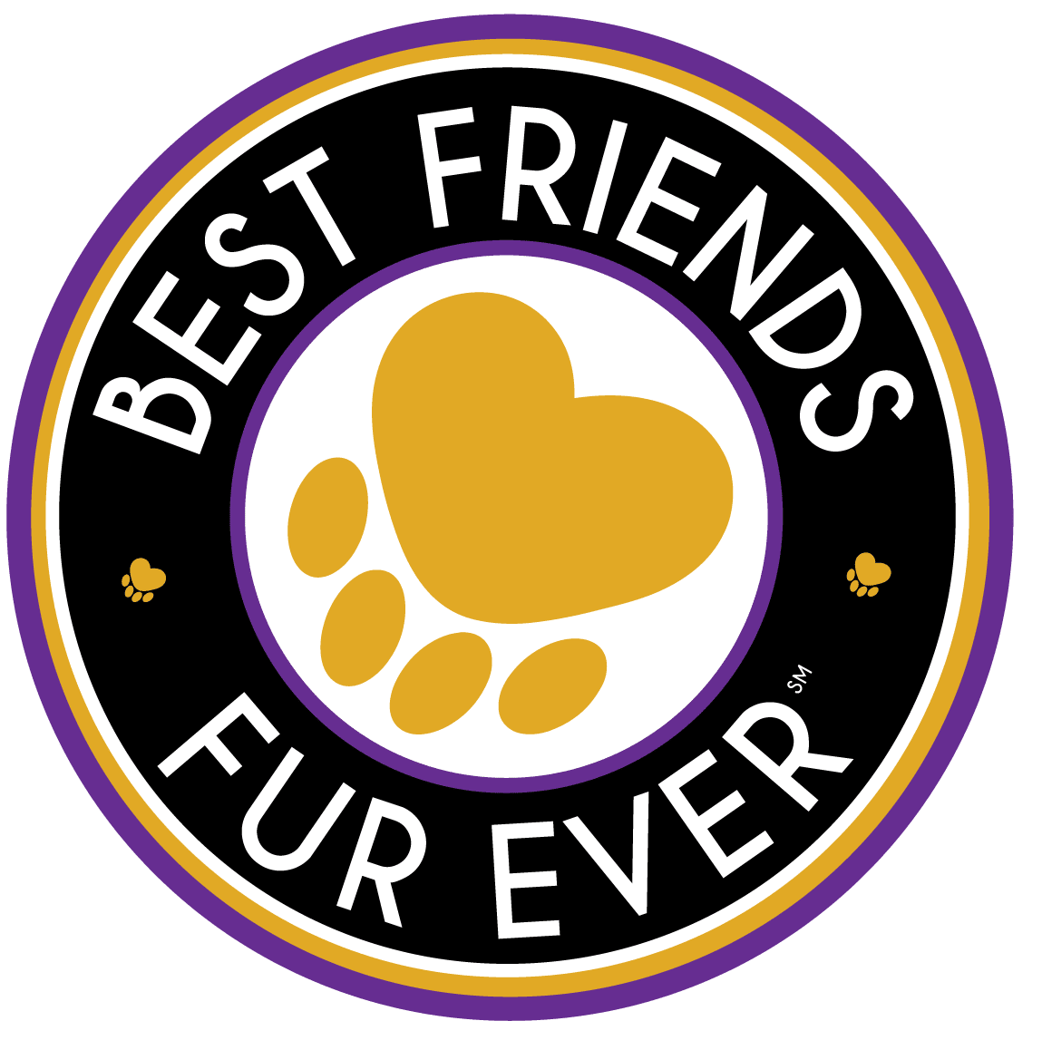 Premier Dog Daycare, Boarding, Grooming, and Training Resorts in Maryland