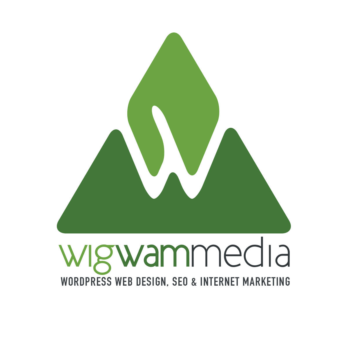 WordPress Web Design, Shopify, SEO in Fernie, Sparwood, Crowsnest Pass and Cranbrook