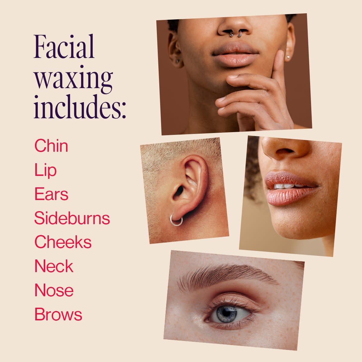 European Wax Center