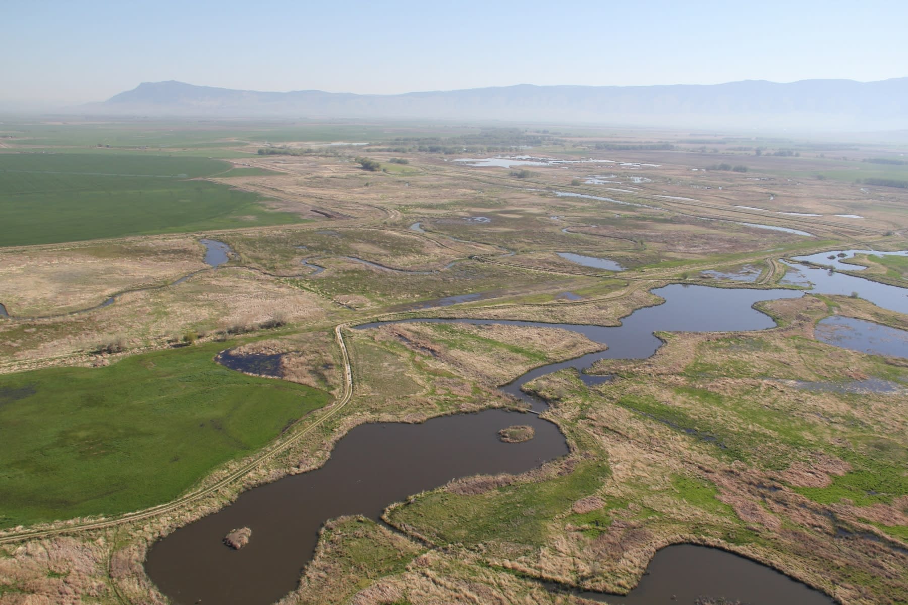 Ladd Marsh Aerial