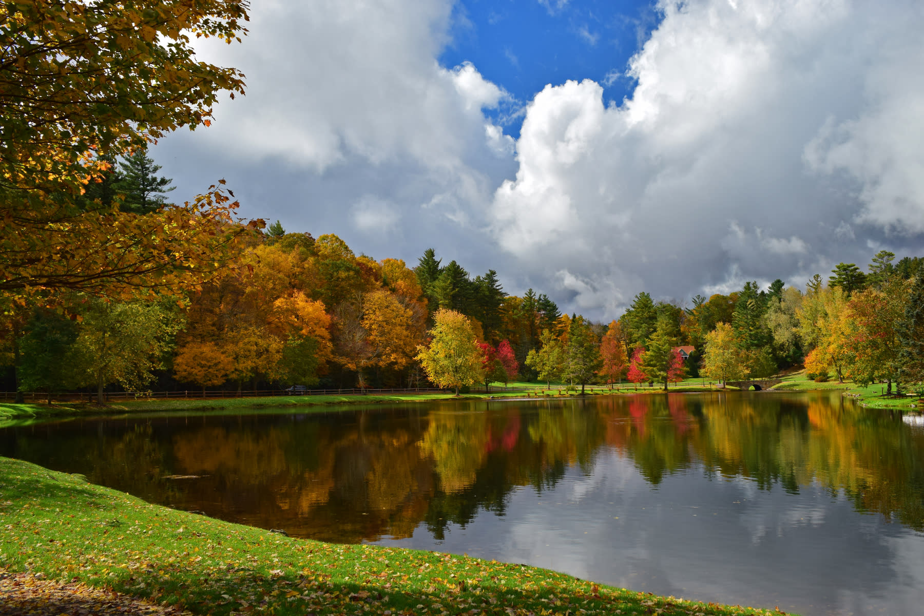 chetola lake with leaves and trees