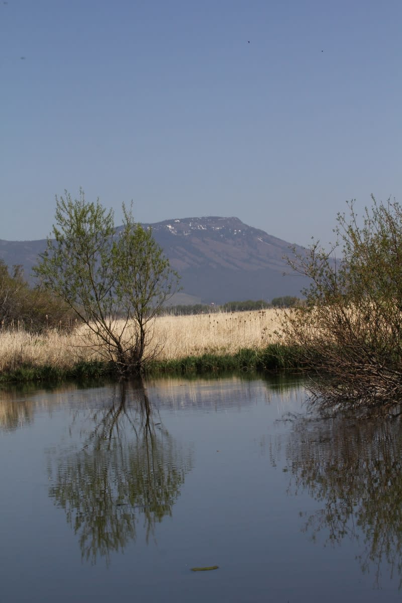 2023 Ladd Marsh Bird Festival Event / Union County Chamber of Commerce