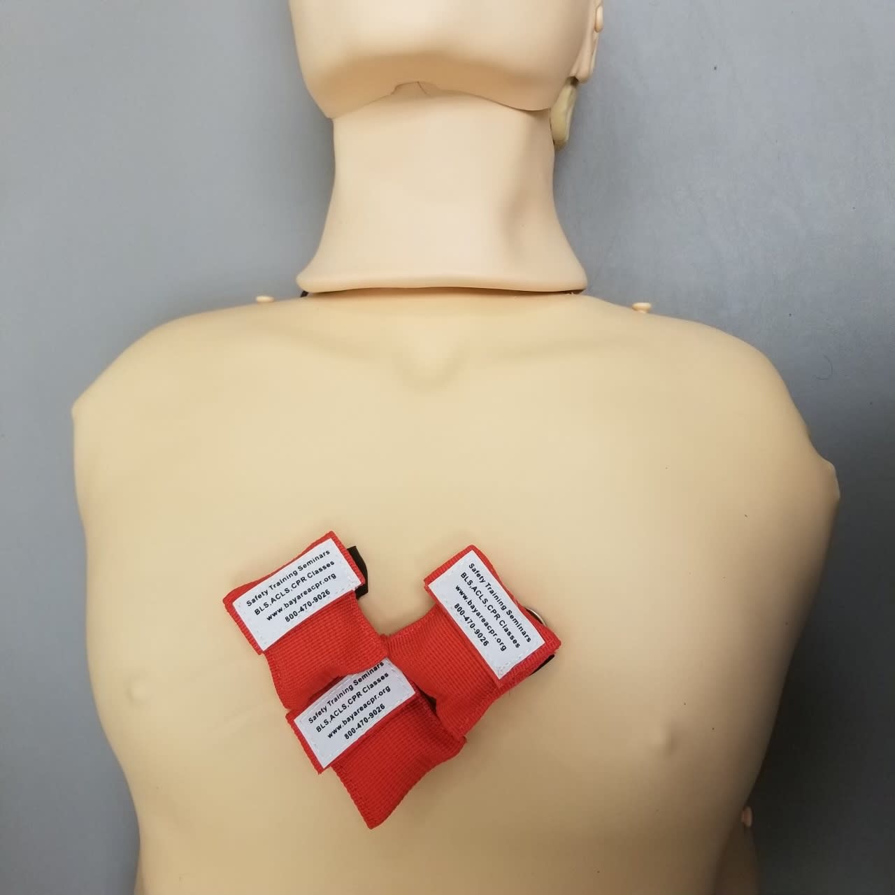 BLS Renewal Classes in Davis
