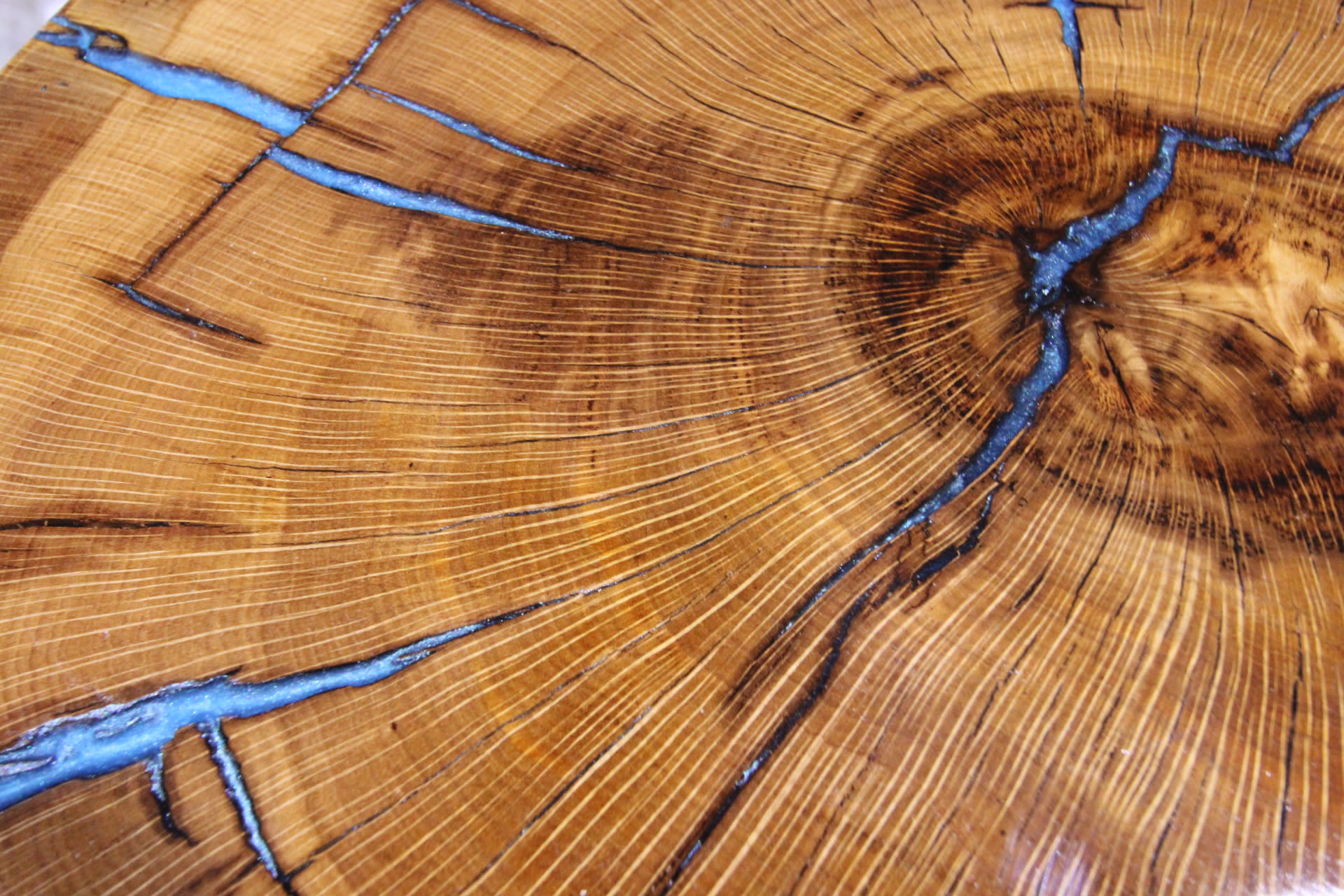 Live Oak "cookie" slab with blue epoxy fill