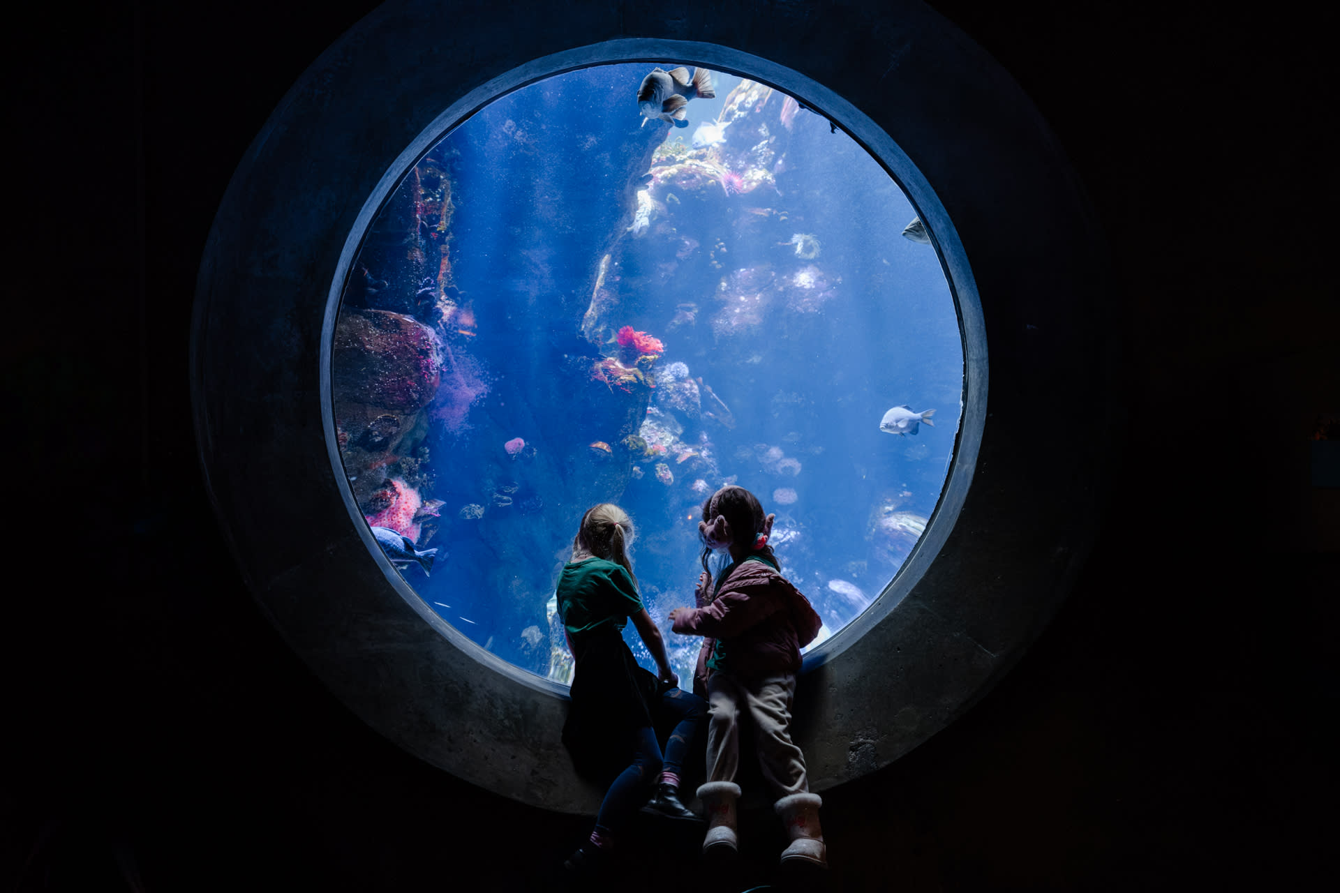 two 7 year old girls sitting in front of a circle aquarium