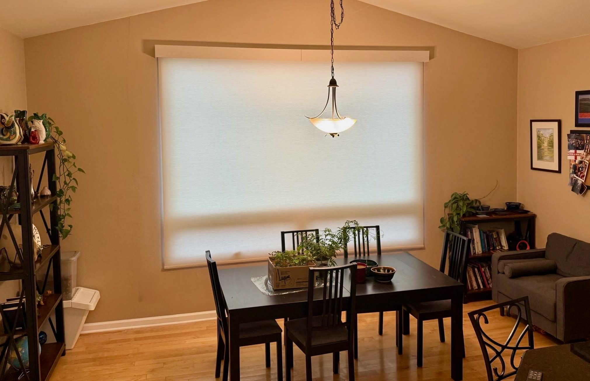 Bumble Bee Blinds Louisville CO - roller solar shades