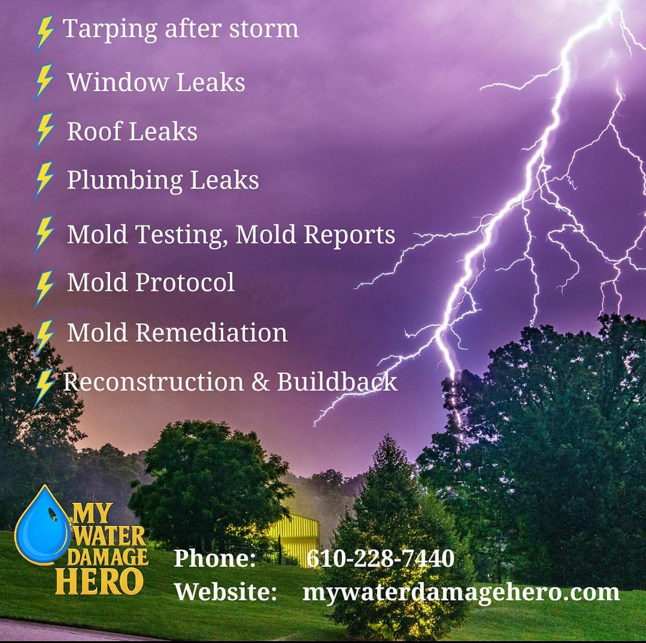 Mold Protocol and Testing