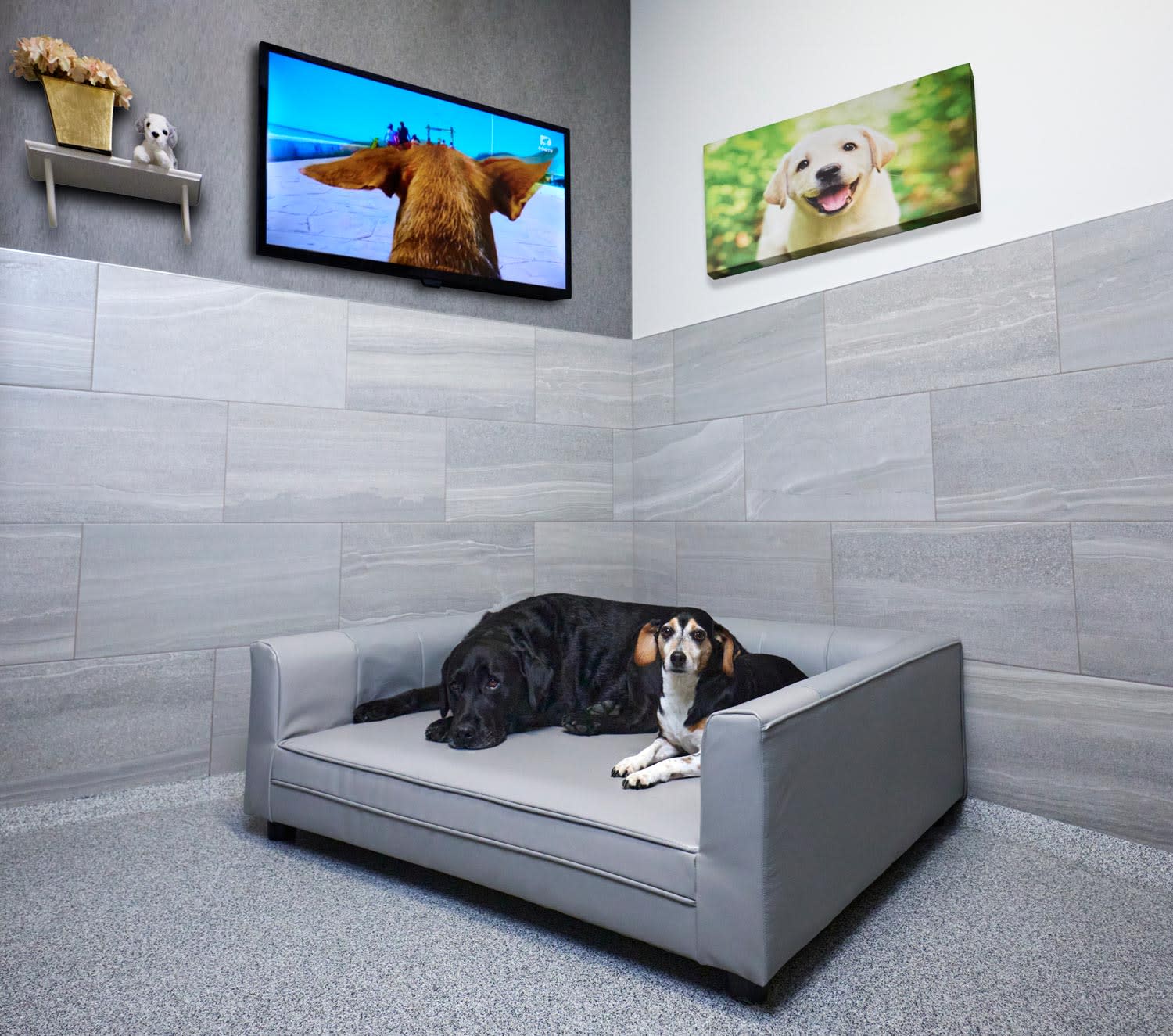 Anxiety-Calming Luxury Pet Bed