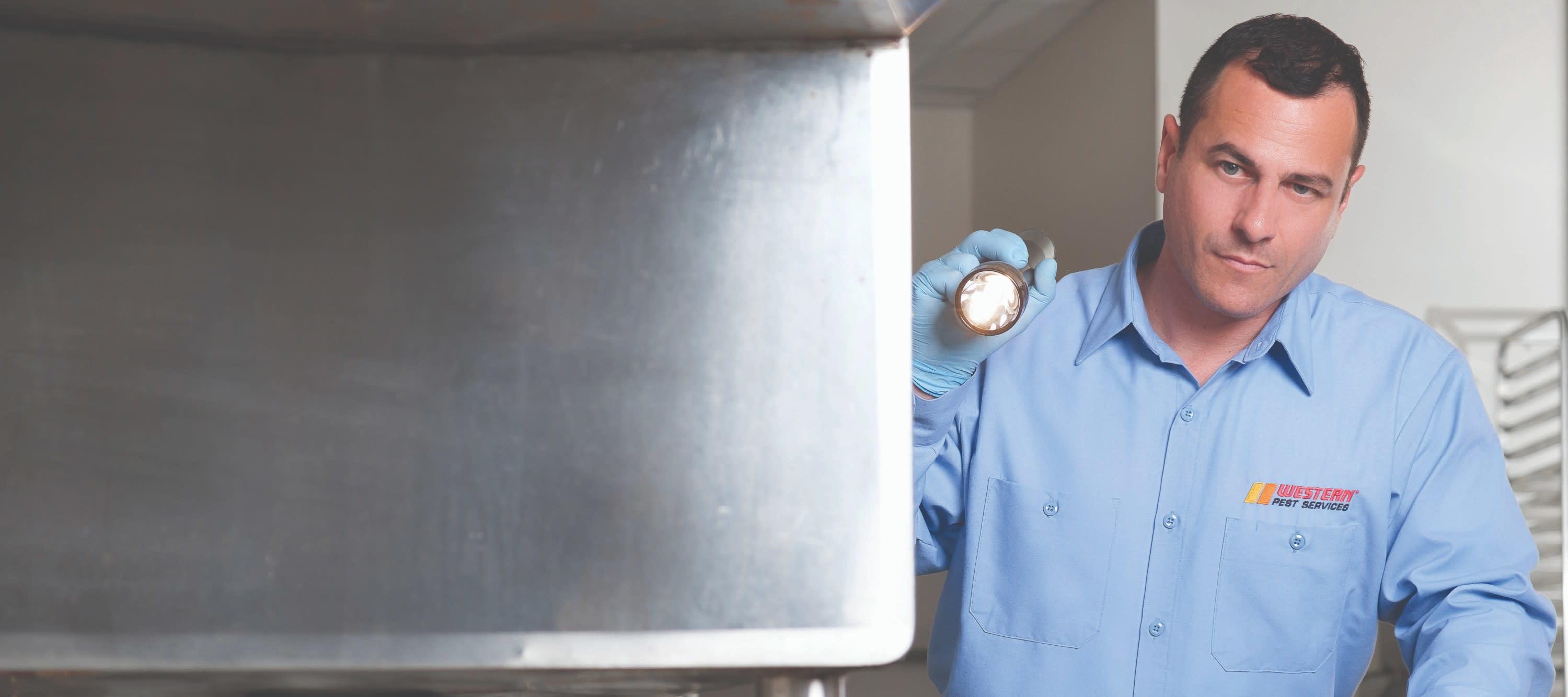 commercial pest control