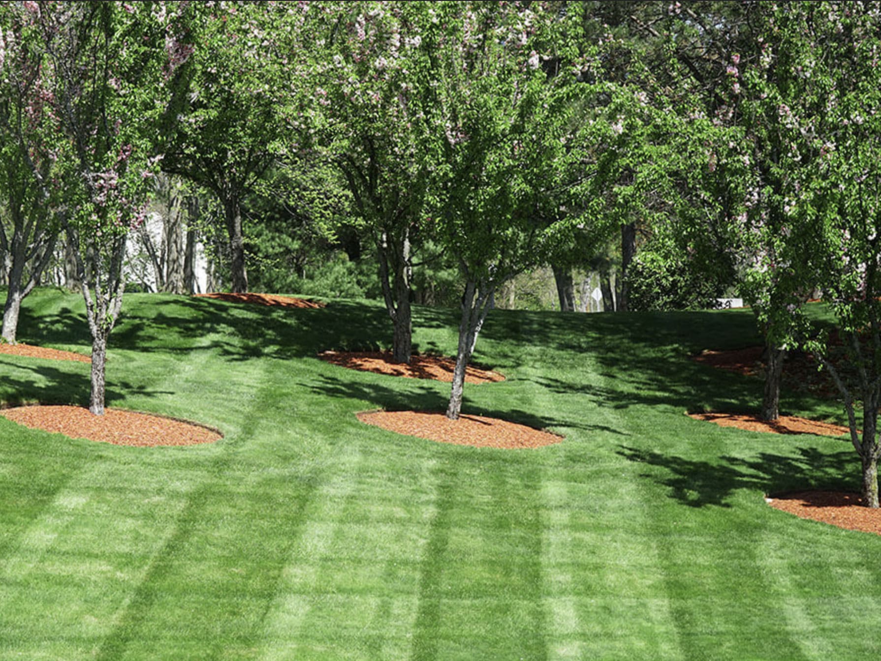 Ivans Landscaping Crystal Lake