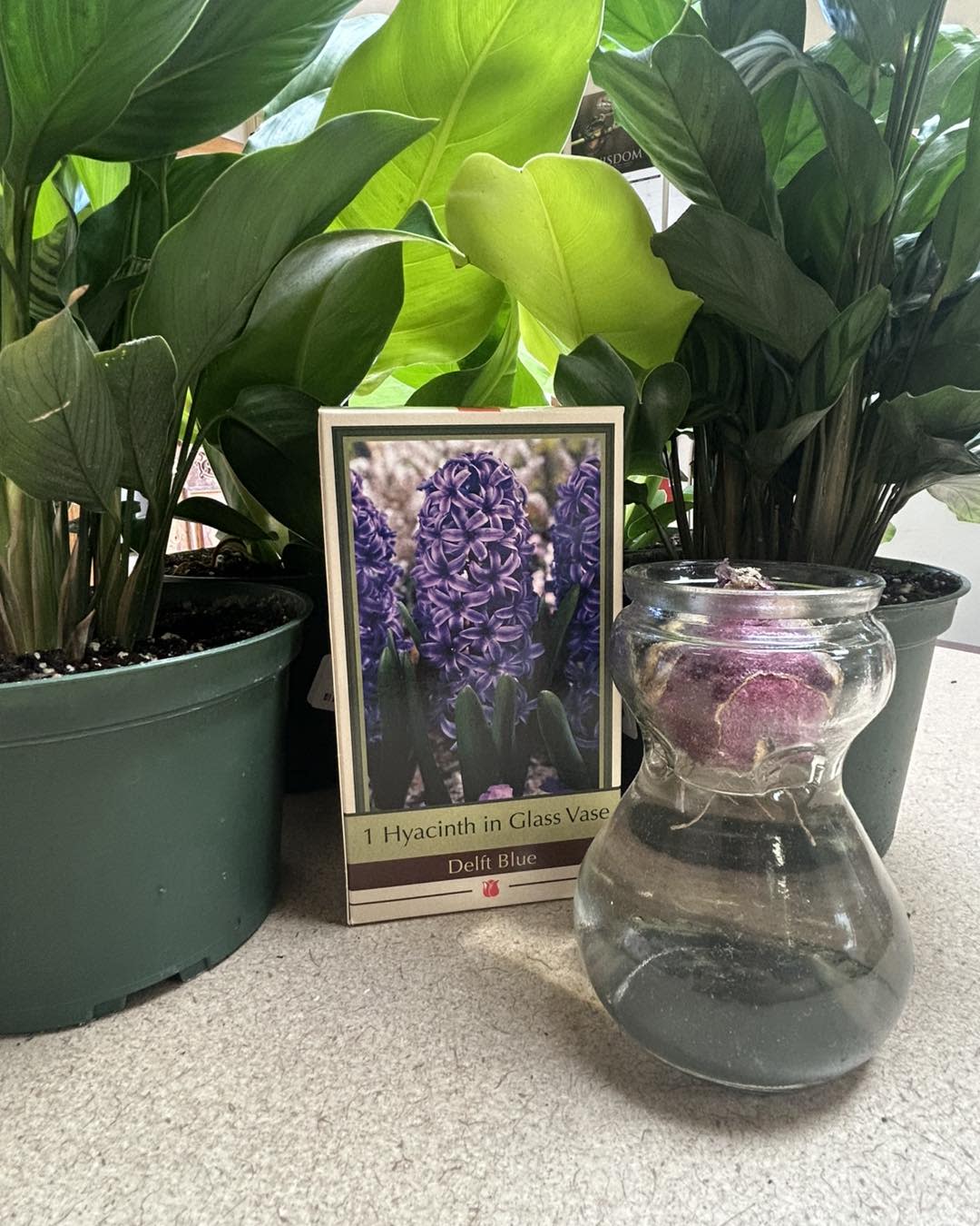 Sparetime Garden Center