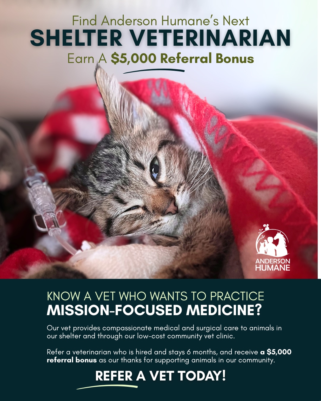 Anderson Humane is hiring for a Full-Time Veterinarian