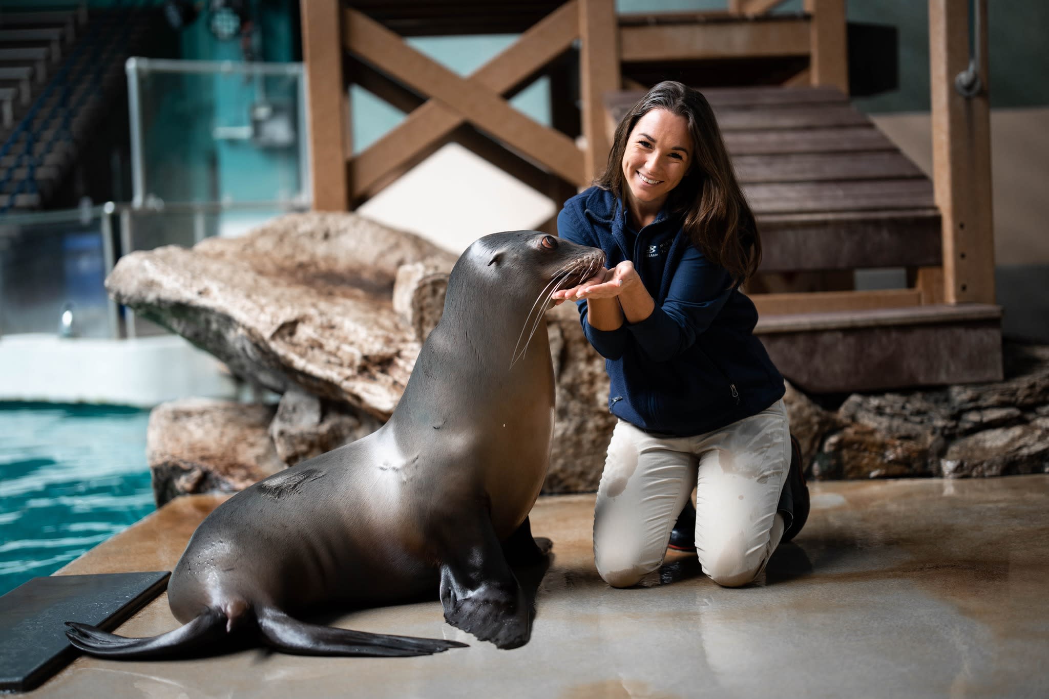 zookeeper-mystic-aquarium-sea-lion-seal-connecticut