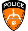 CPS logo image