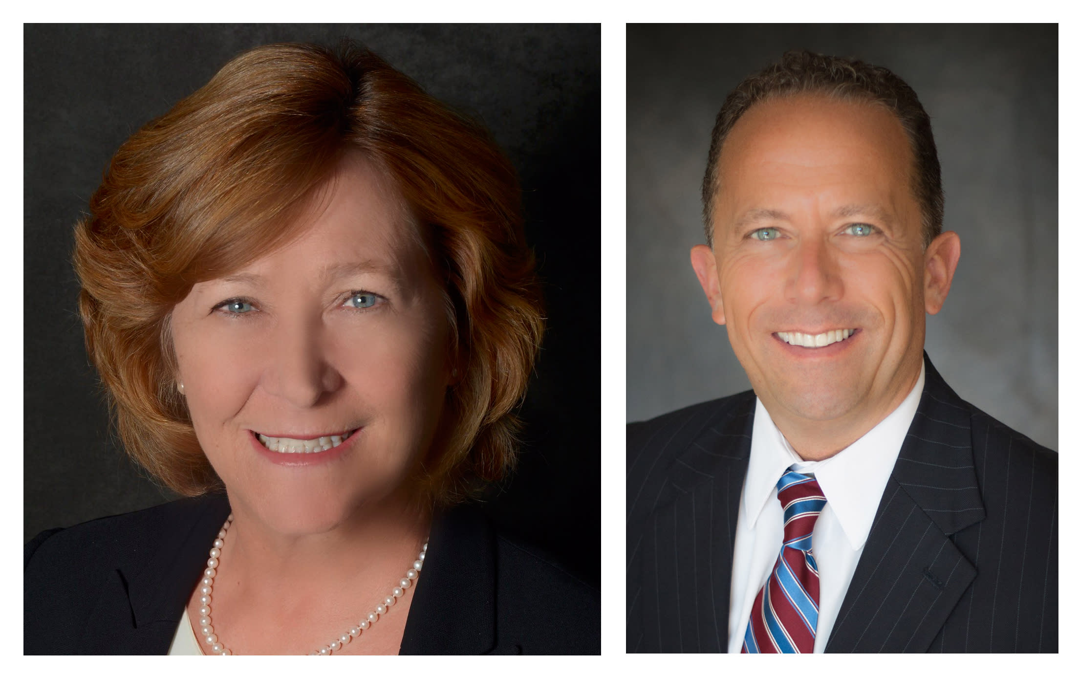 Goodwill Manasota board