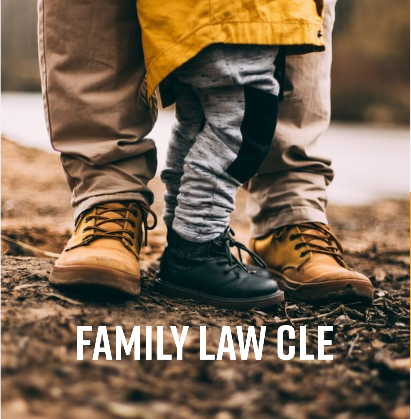 Family Law CLE - May 6 from 1-4 PM