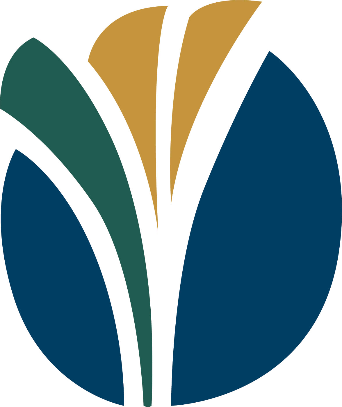 Experience Anatomy Foundation