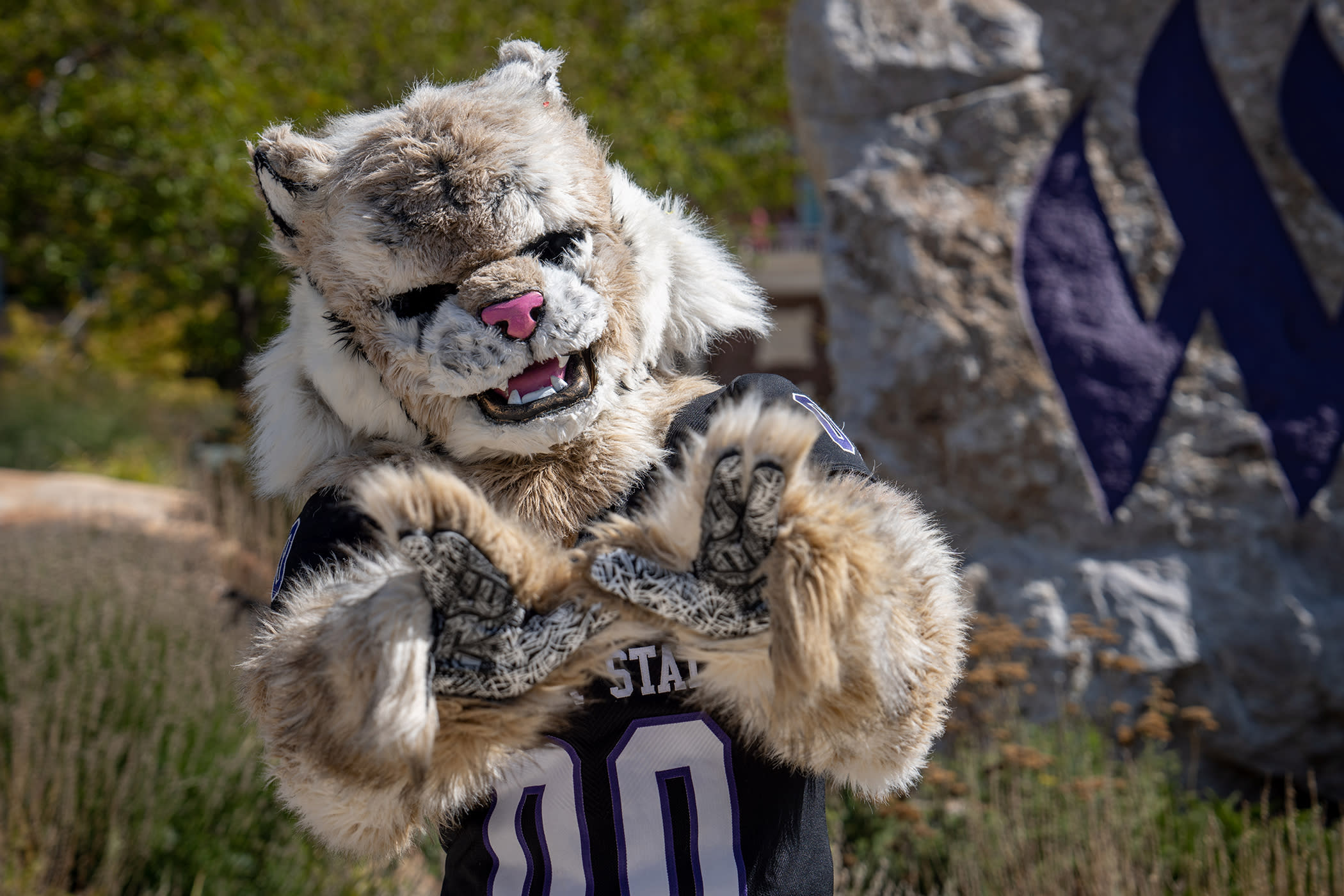 Weber State Mascot, Waldo