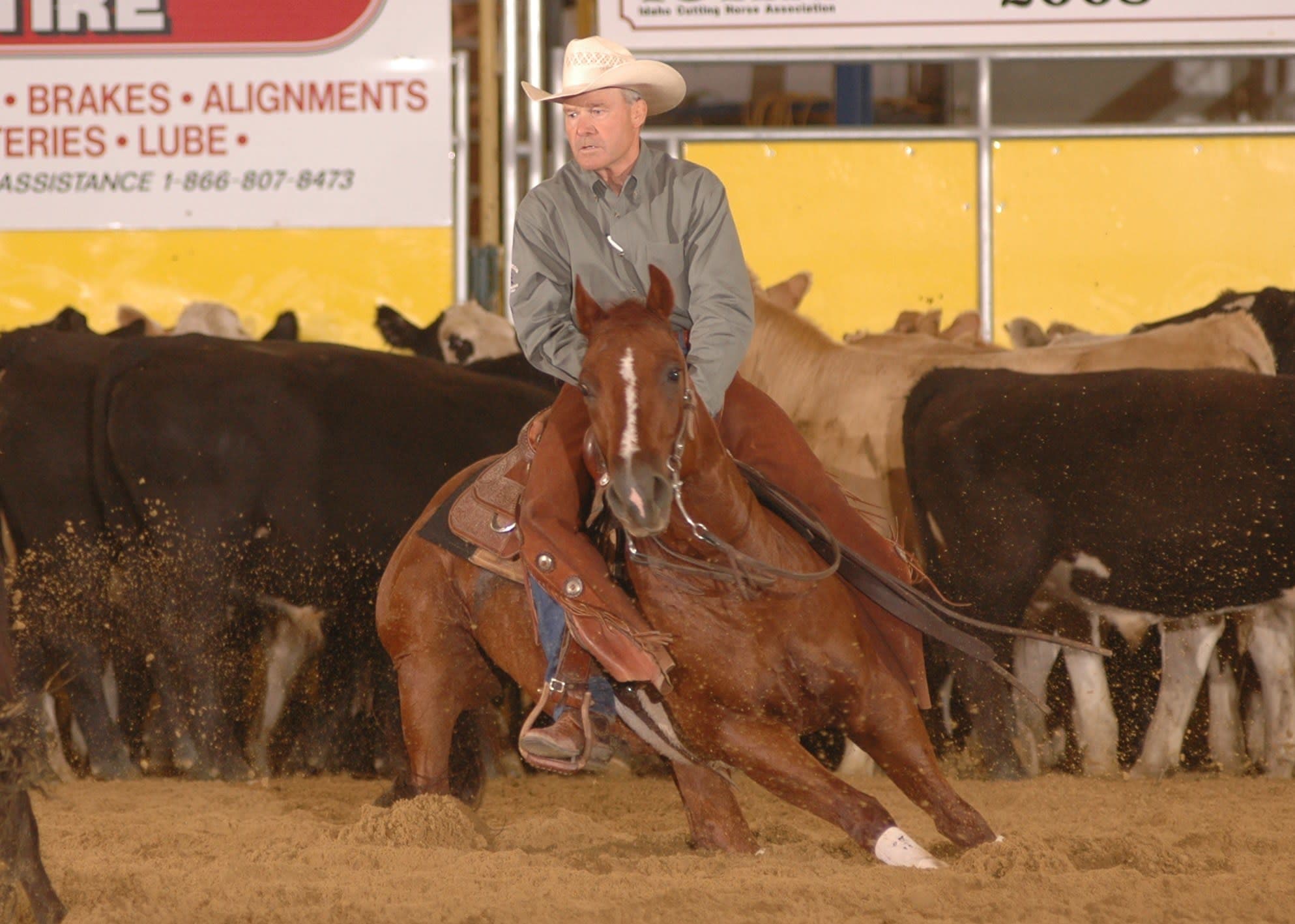 Dan Hansen Hakuna Merada