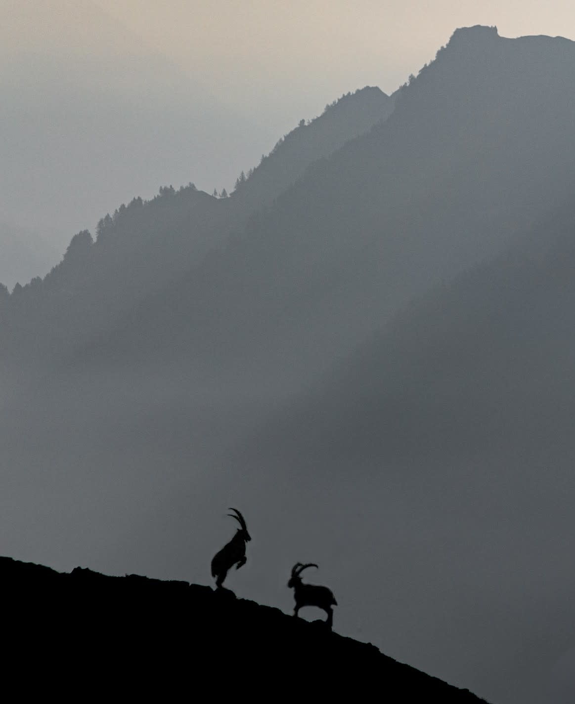 Photo by Adrian Lang: https://www.pexels.com/photo/silhouette-of-2-people-standing-on-rock-formation-9380755/