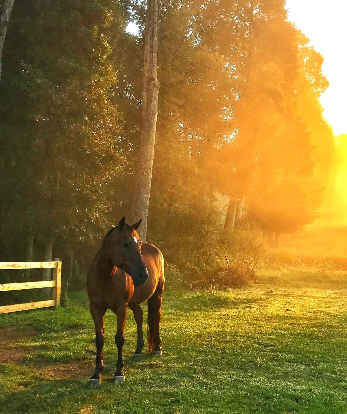 Providing Peaceful Pastures