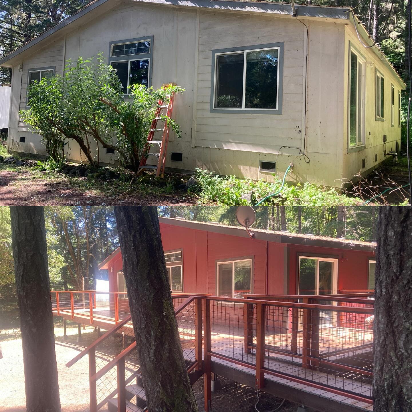 Big Fish Construction-Willits