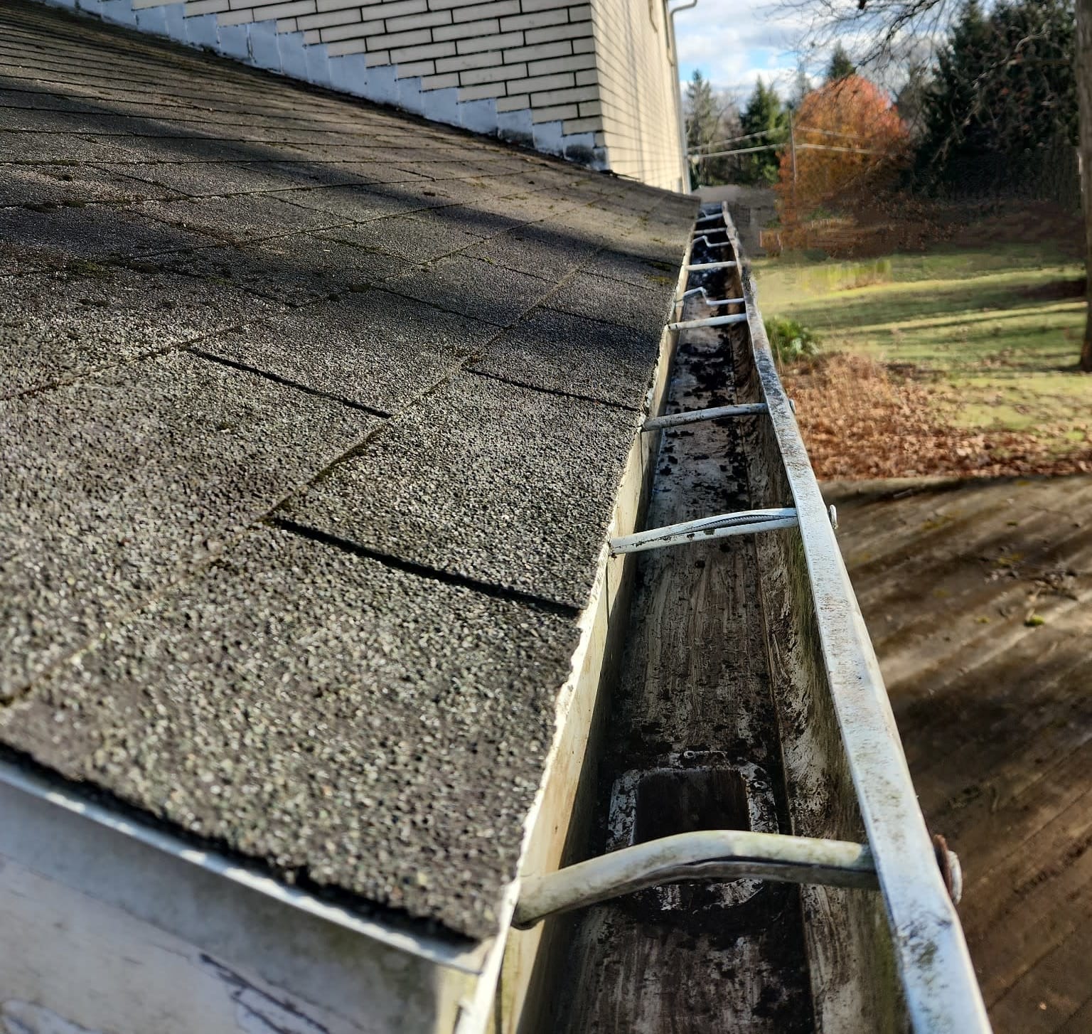 Cleaned Gutters
