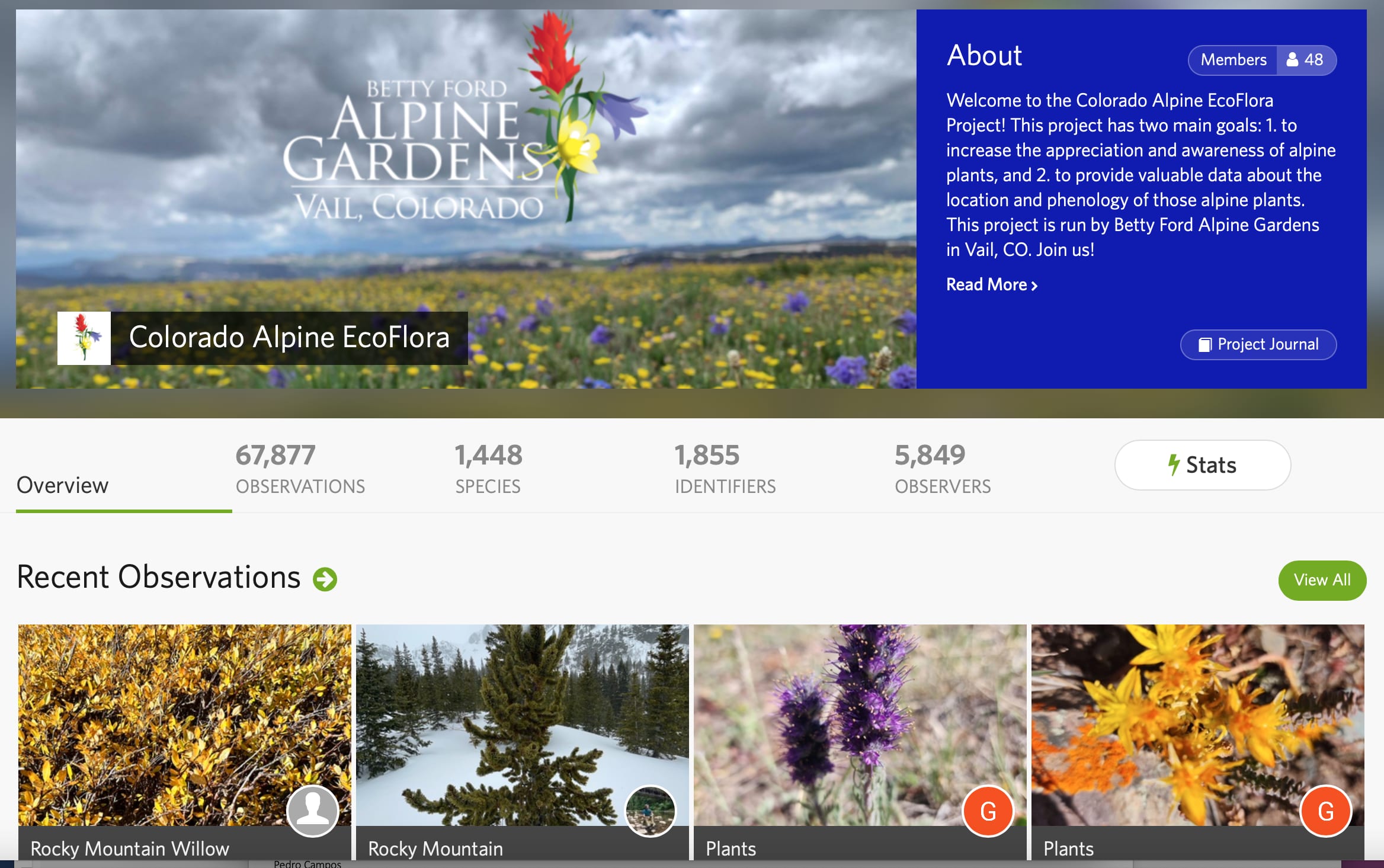 Colorado Alpine EcoFlora Project