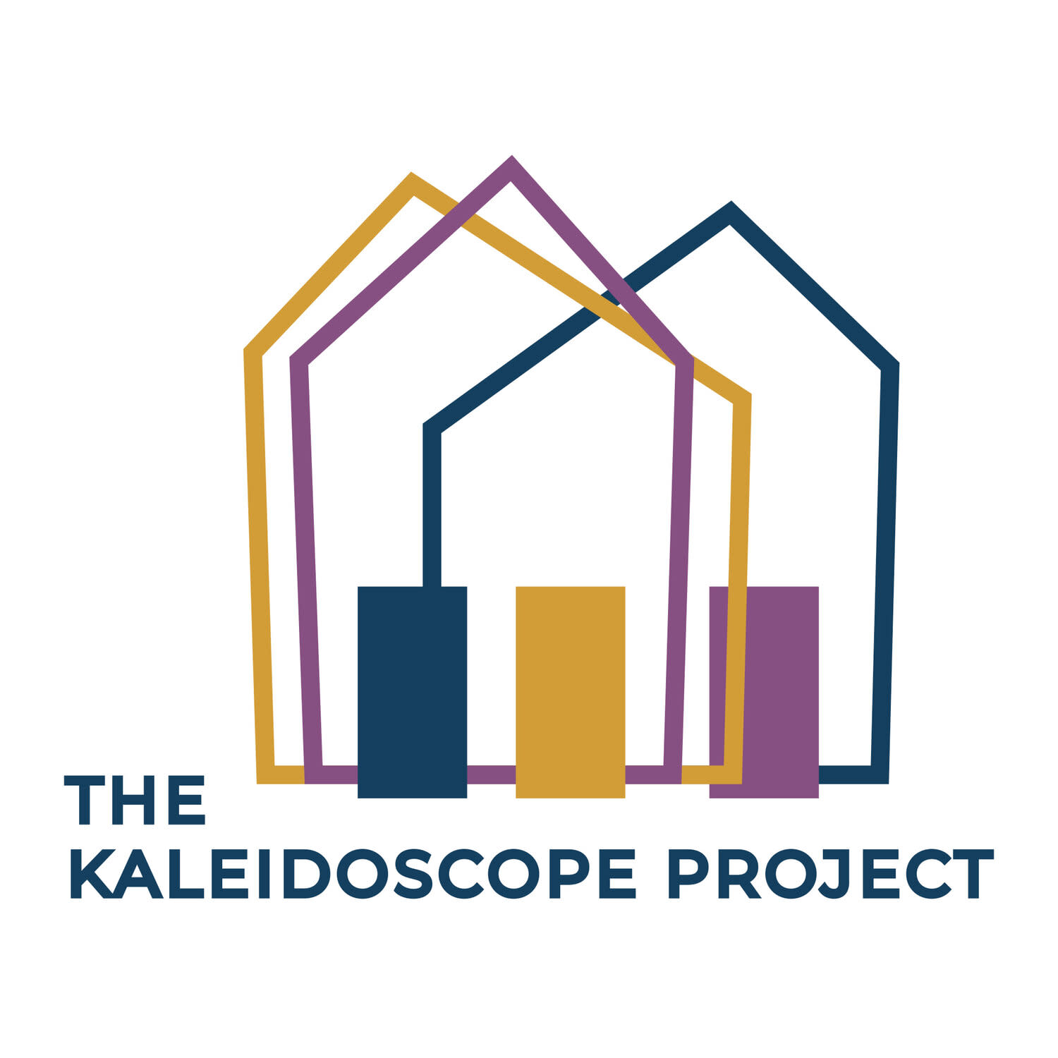 Kaleidoscope Project, Inc.