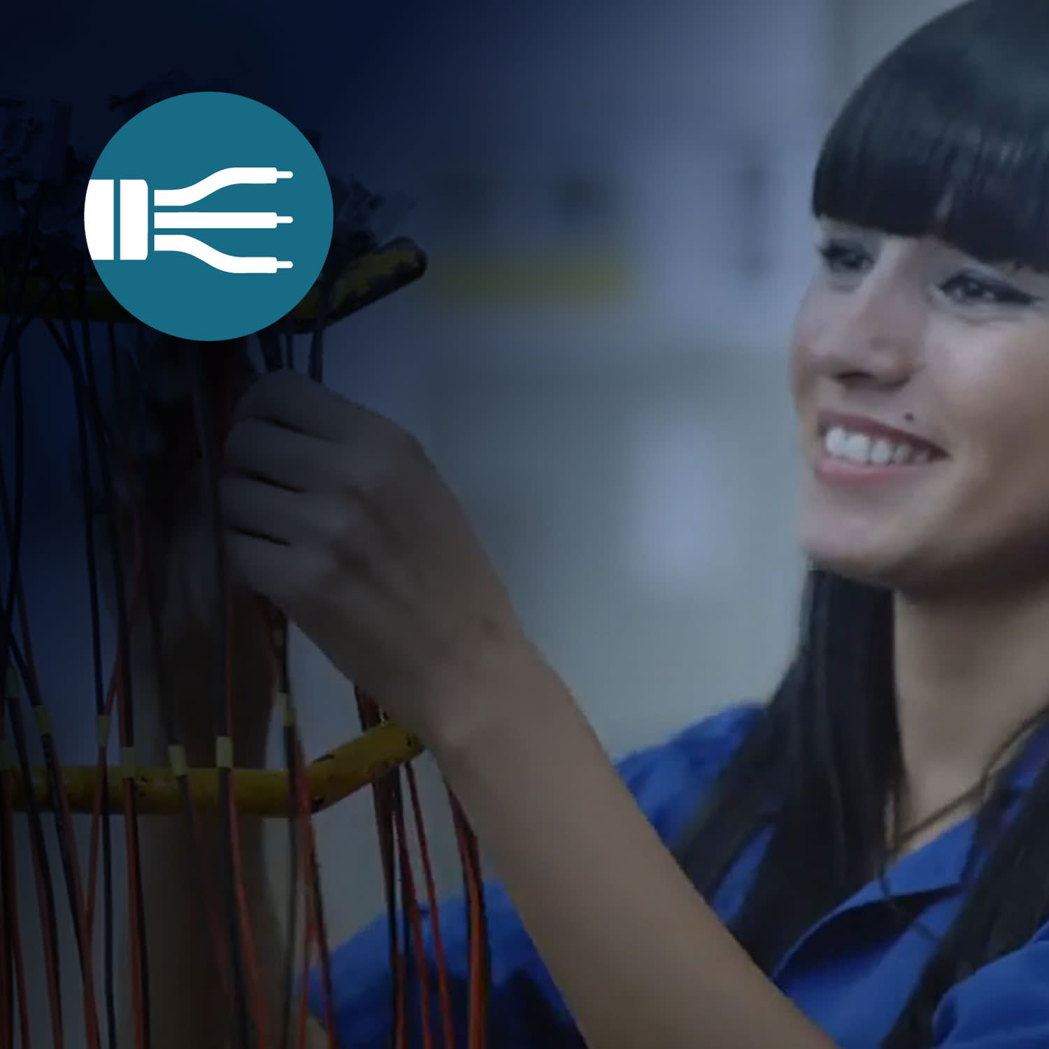 Cesar-Scott Wire Harness Assembly