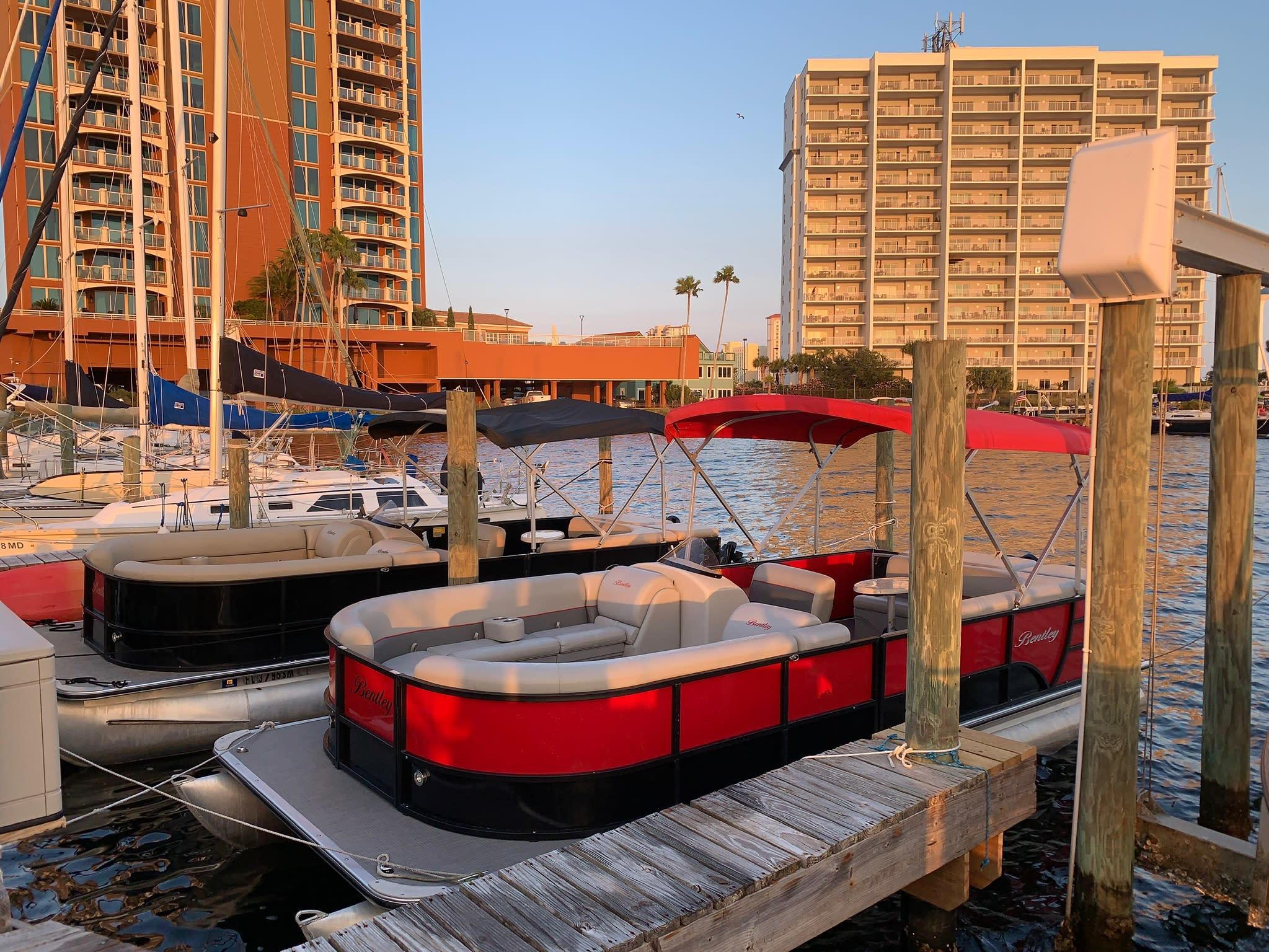 Pensacola Beach Dolphin Tours, Pontoons & More!