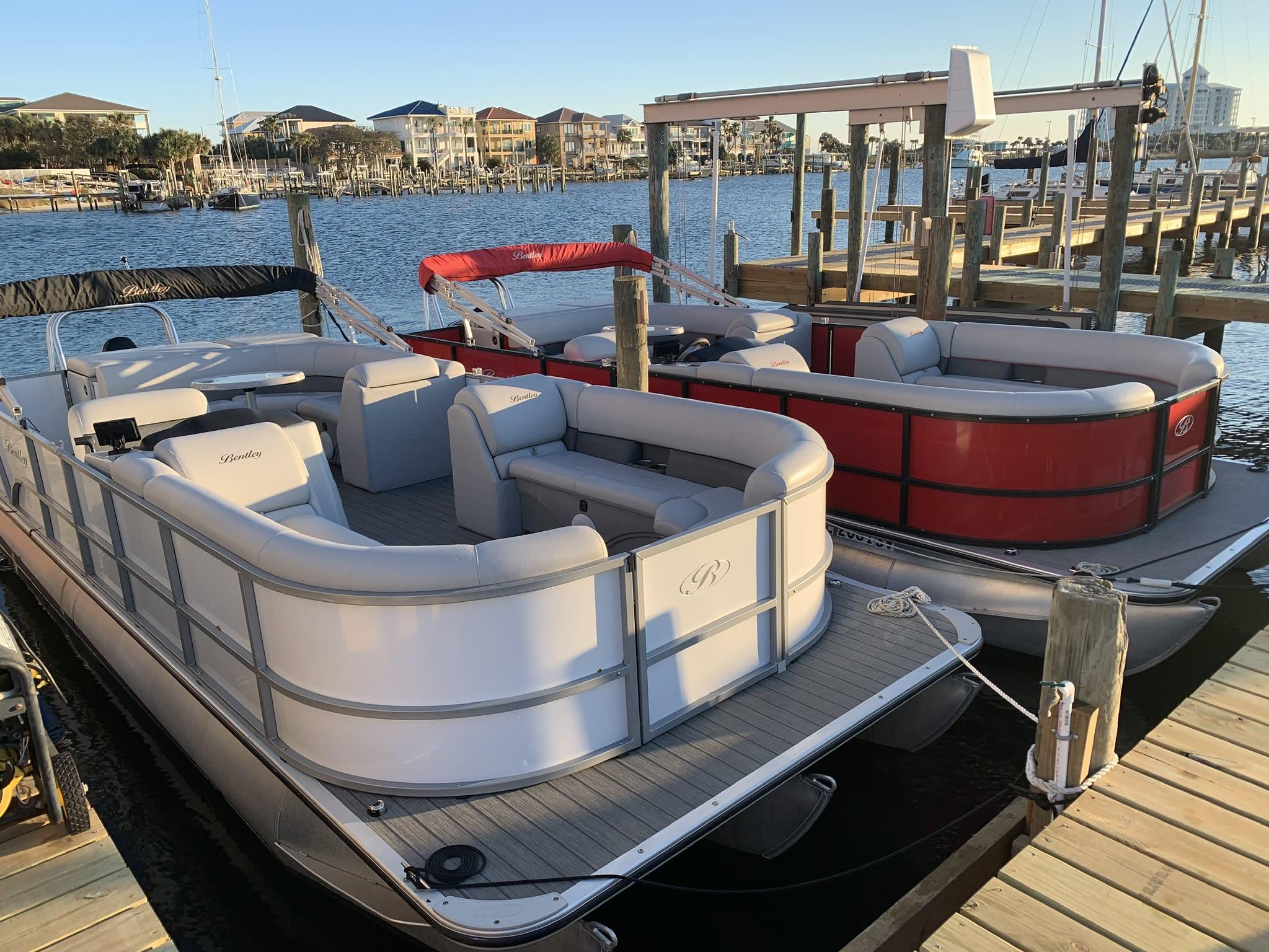 Pensacola Beach Dolphin Tours, Pontoons & More! We