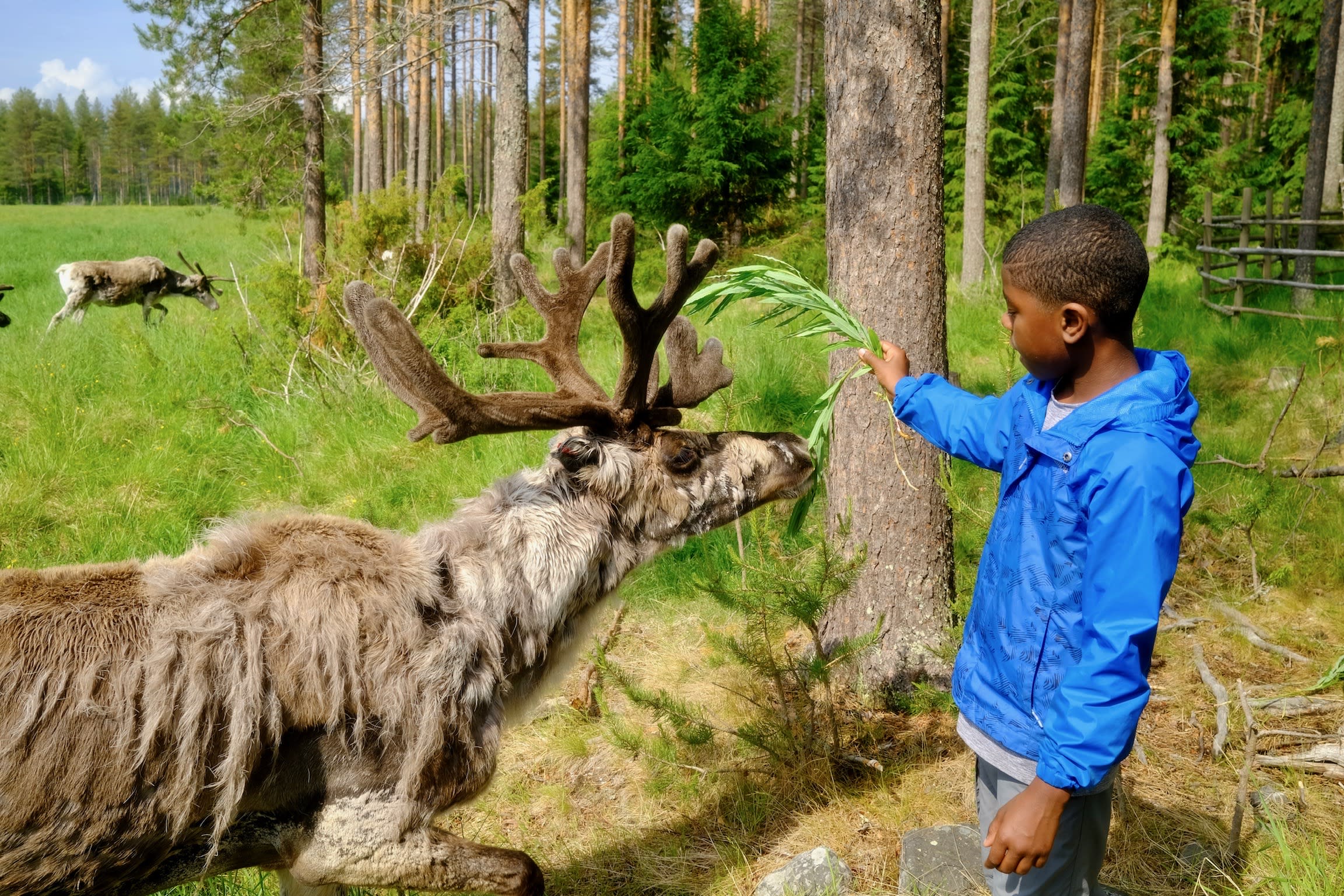 Courtesy of KyAnn Lewis