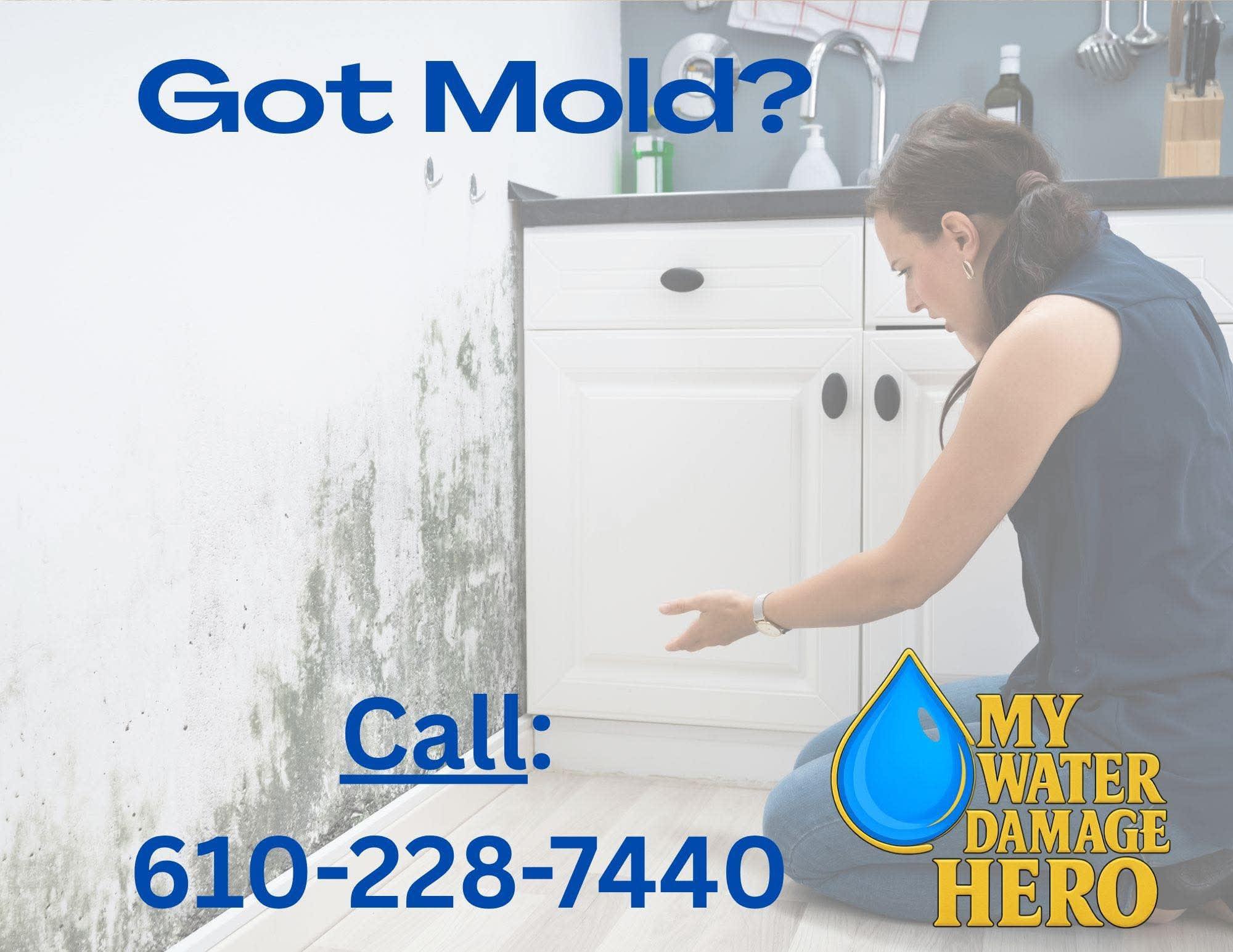 Got Mold?