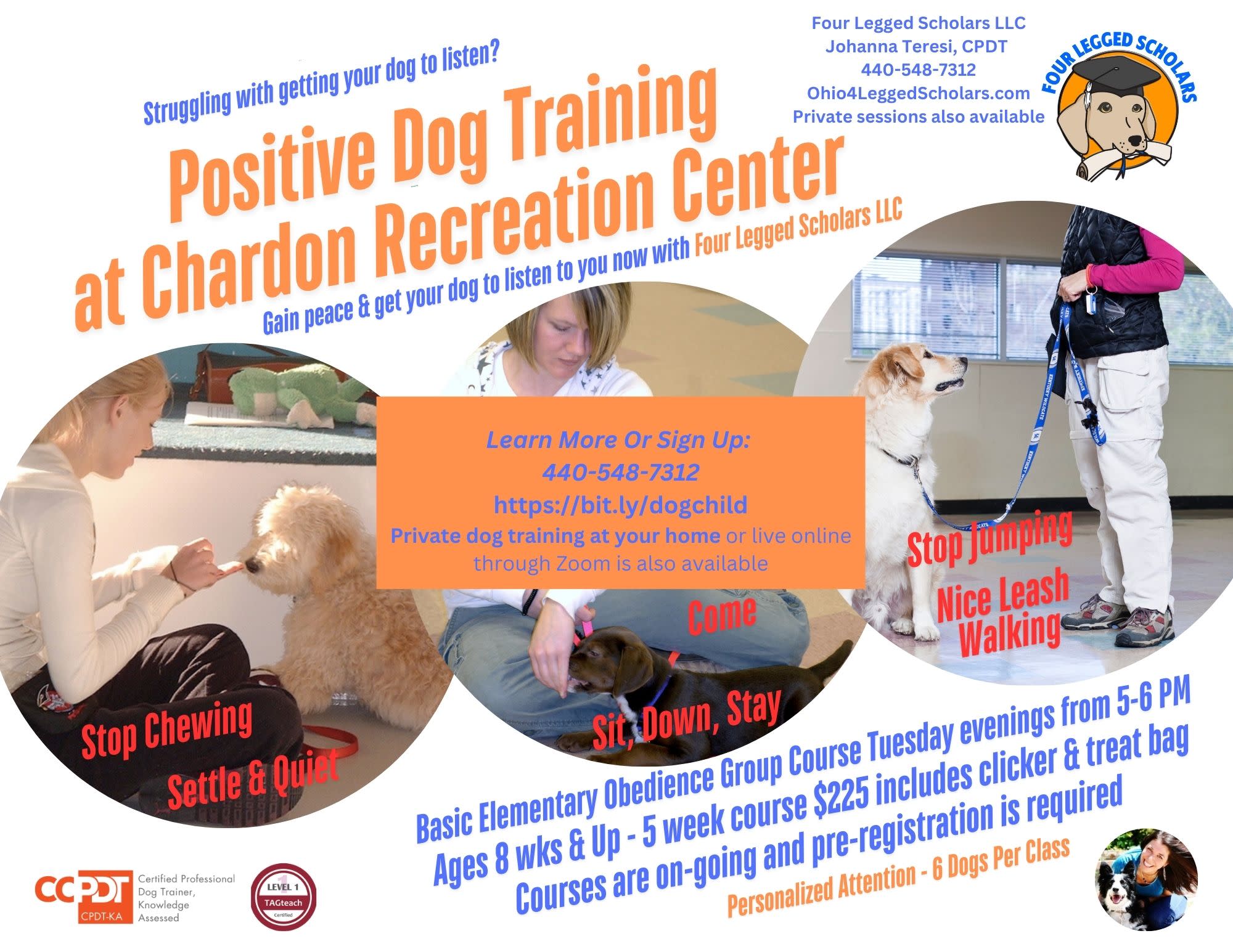 Dog / Puppy Training Chardon