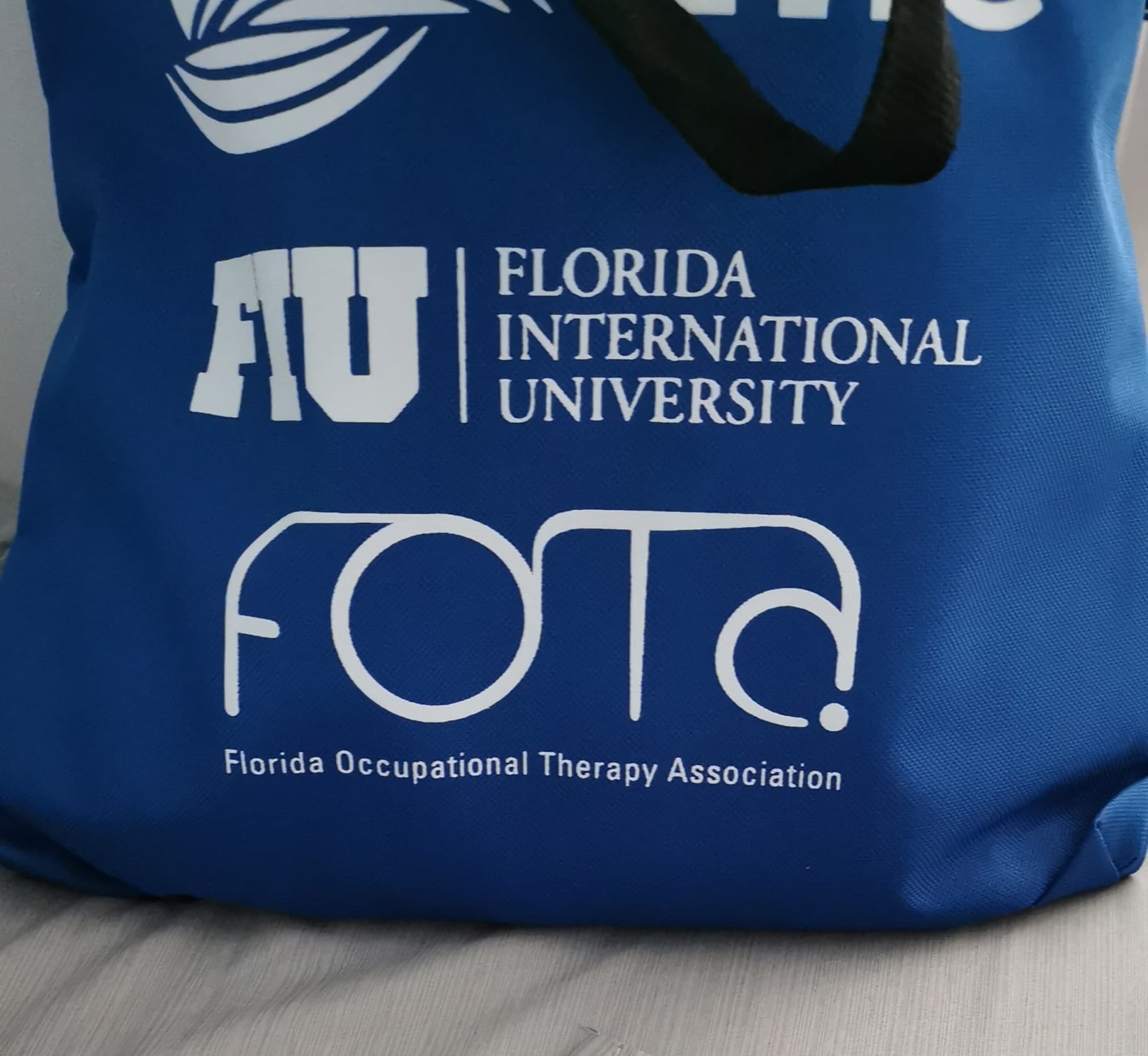Presenter at FLORIDA OCCUPATIONAL THERAPY CONFERENCE 2025